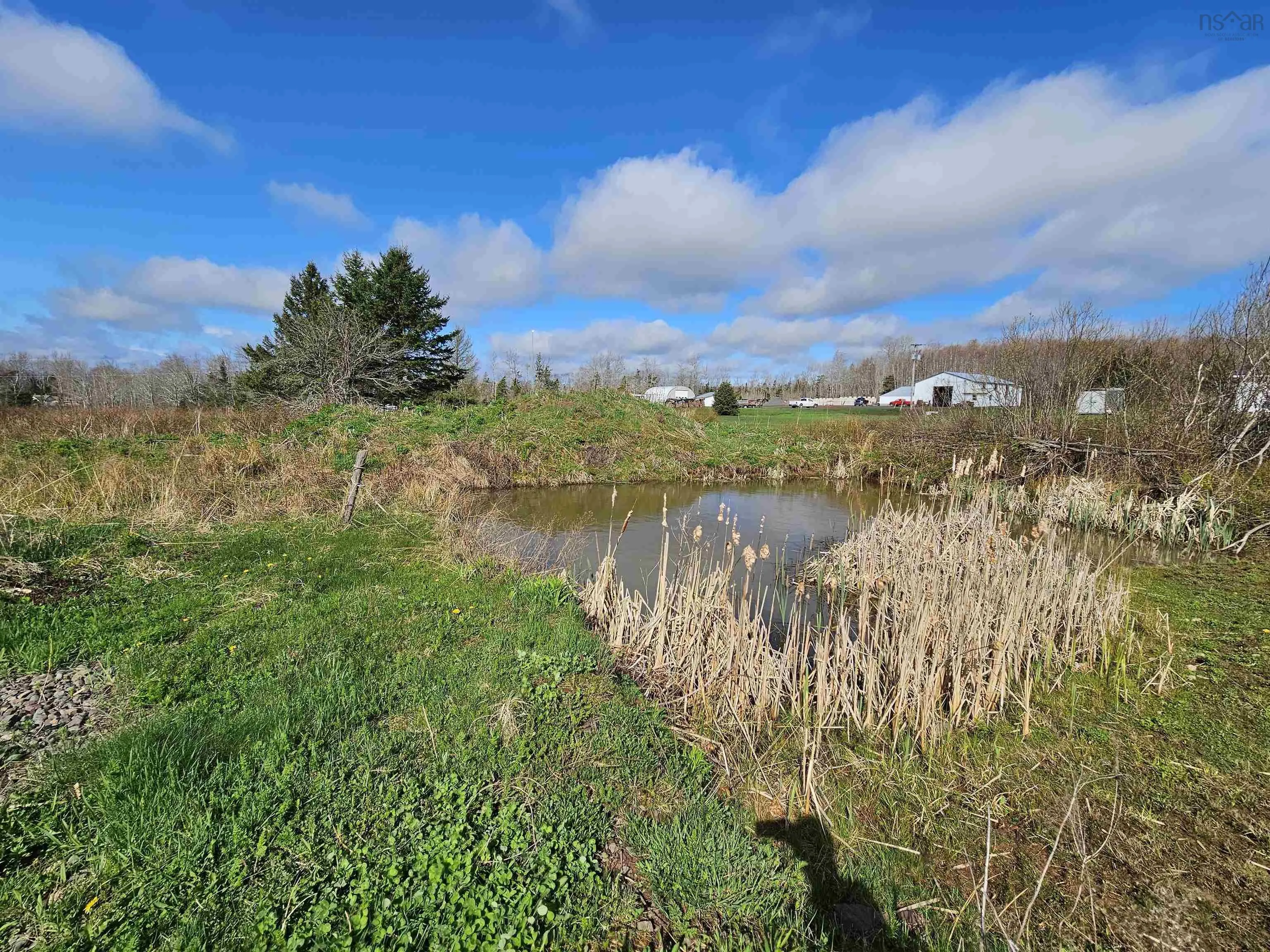 15494 Highway 6, Upper Malagash Ns B0k 1e0, ,Land,For Sale,Highway 6,202510458