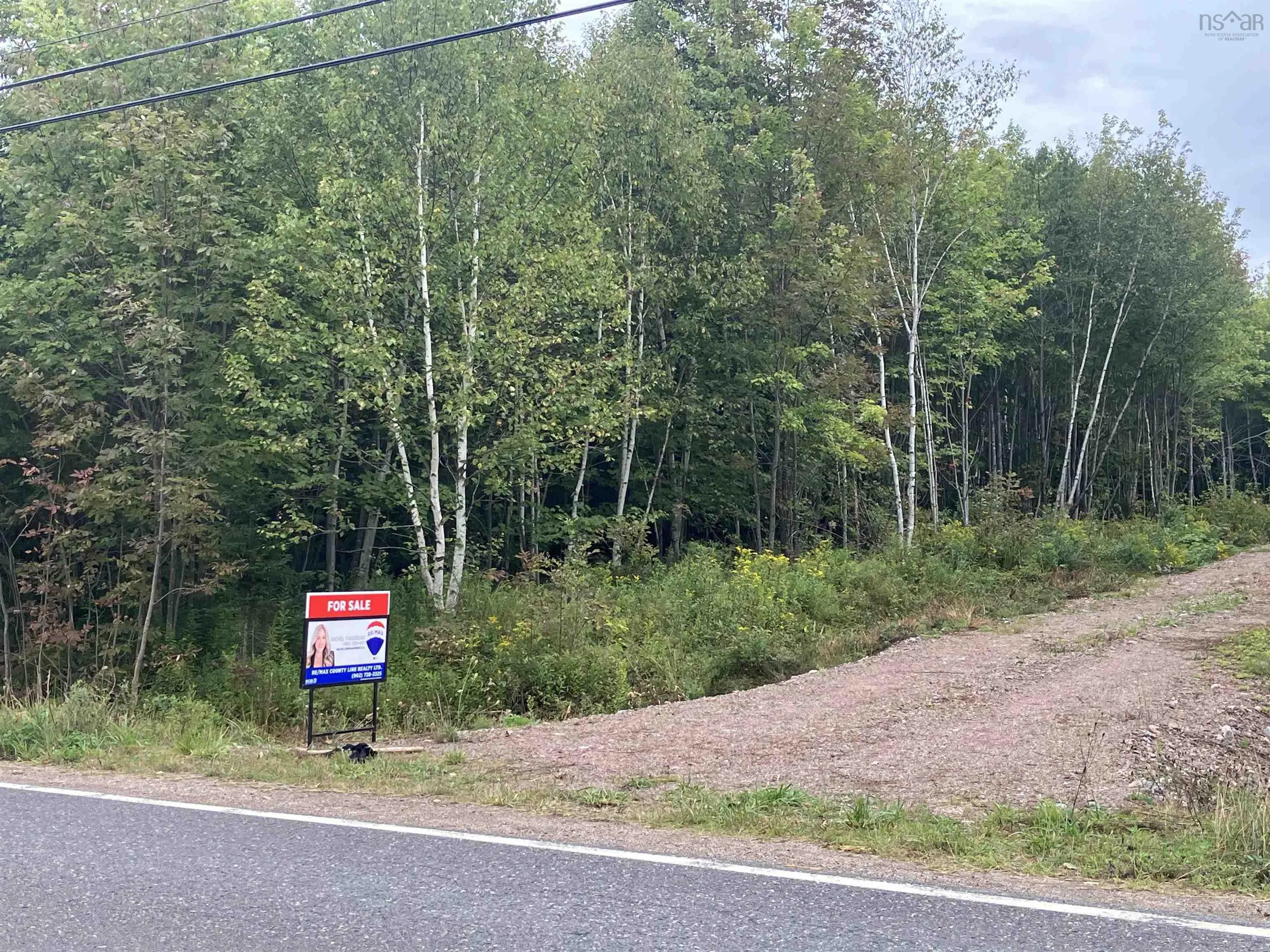 Lot 2020-5 Highway 223, Little Narrows, NS B0E 1T0, ,Land,For Sale,Highway 223,202520357