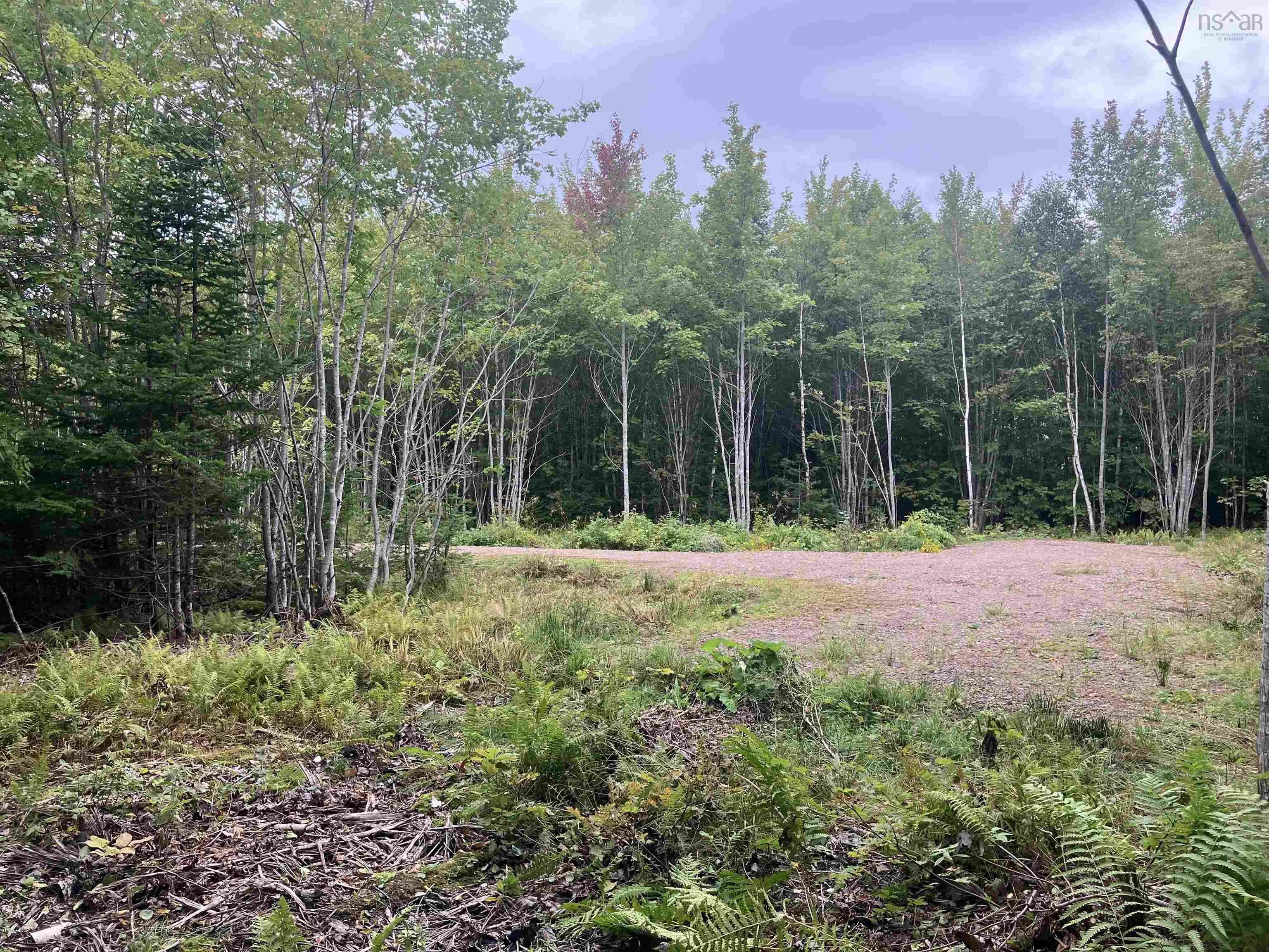 Lot 2020-5 Highway 223, Little Narrows, NS B0E 1T0, ,Land,For Sale,Highway 223,202520357
