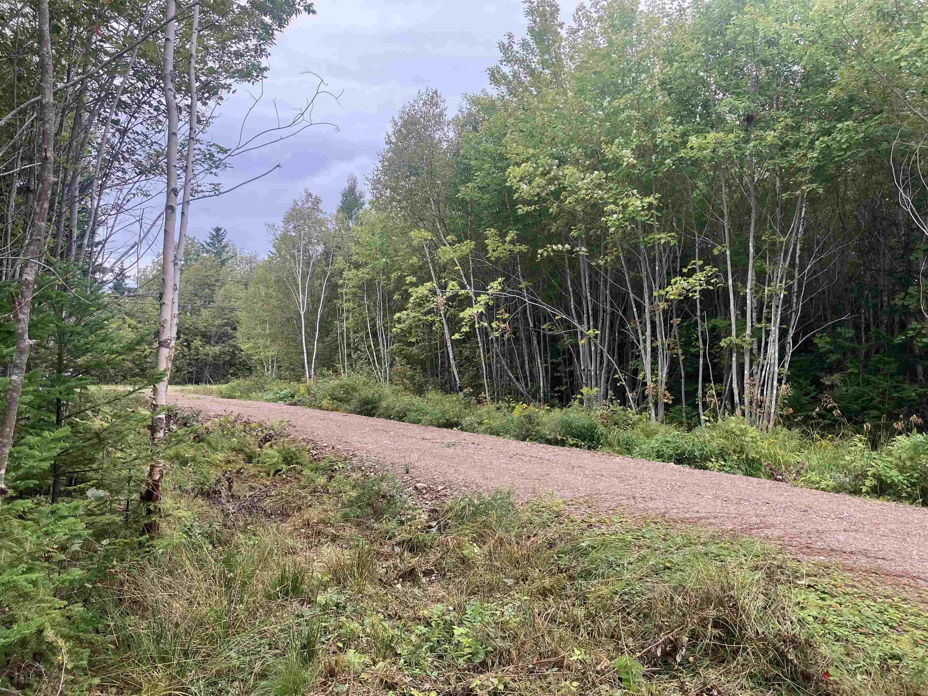 Lot 2020-5 Highway 223, Little Narrows, NS B0E 1T0, ,Land,For Sale,Highway 223,202520357