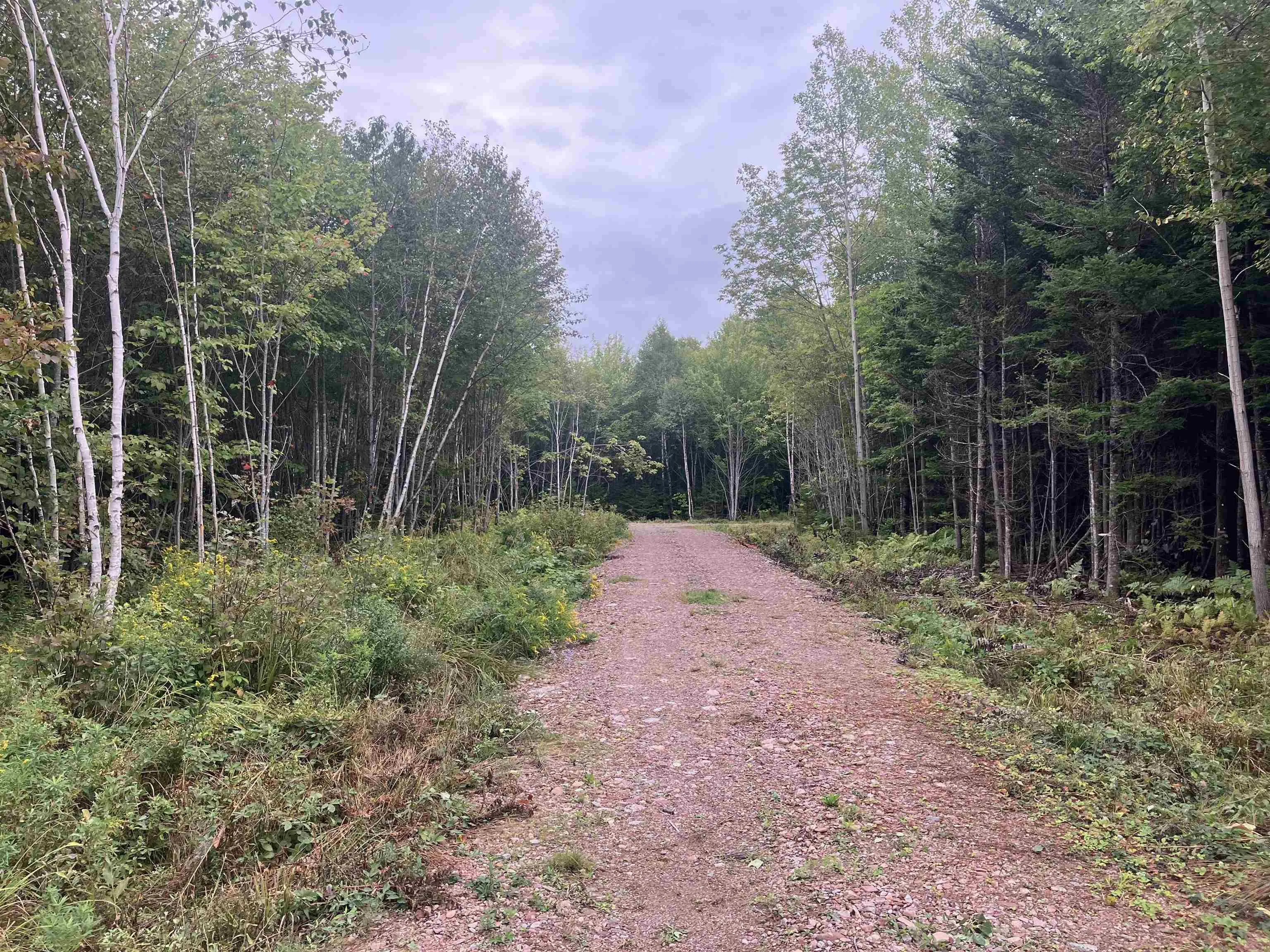 Lot 2020-5 Highway 223, Little Narrows, NS B0E 1T0, ,Land,For Sale,Highway 223,202520357