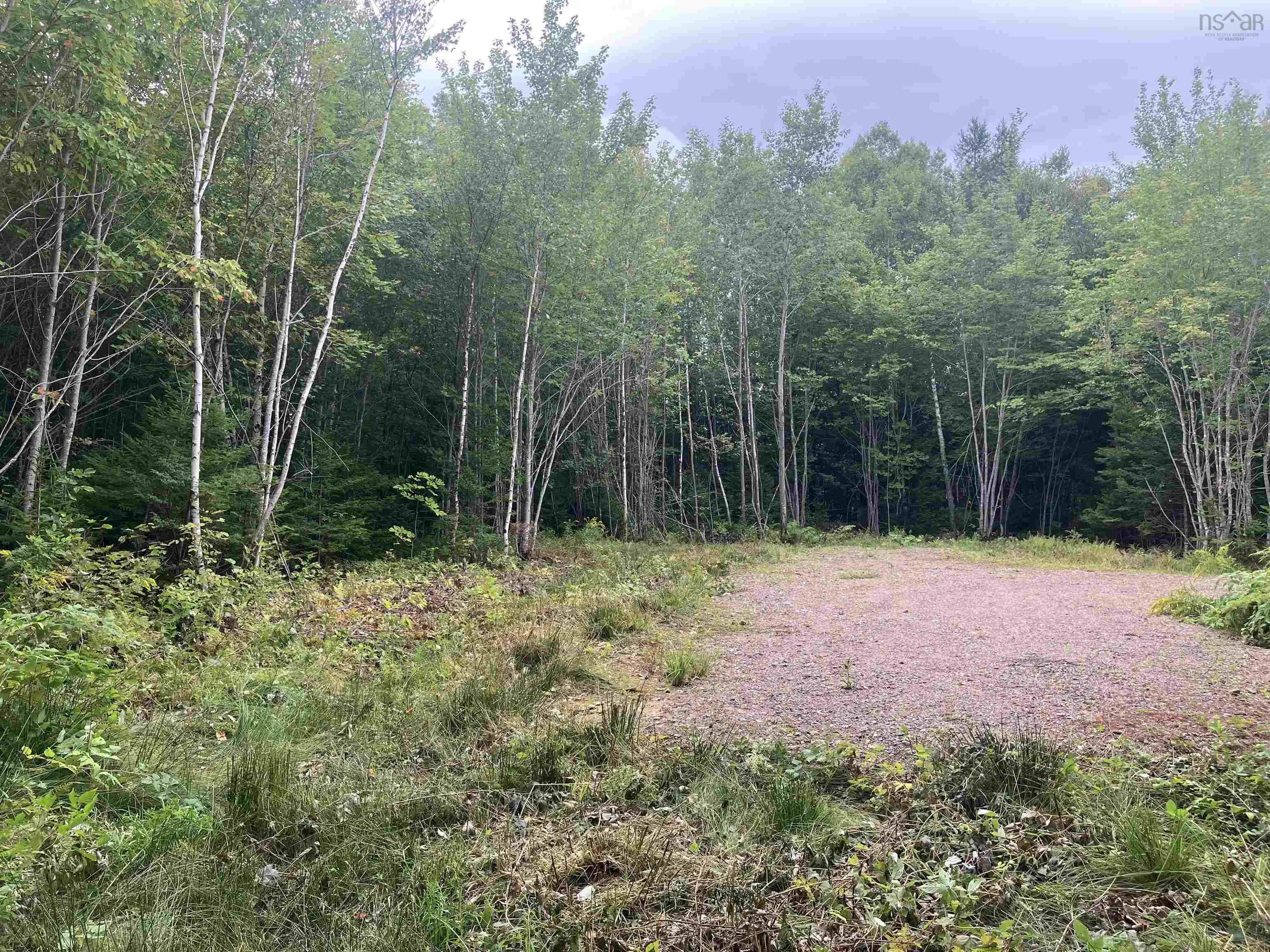 Lot 2020-5 Highway 223, Little Narrows, NS B0E 1T0, ,Land,For Sale,Highway 223,202520357