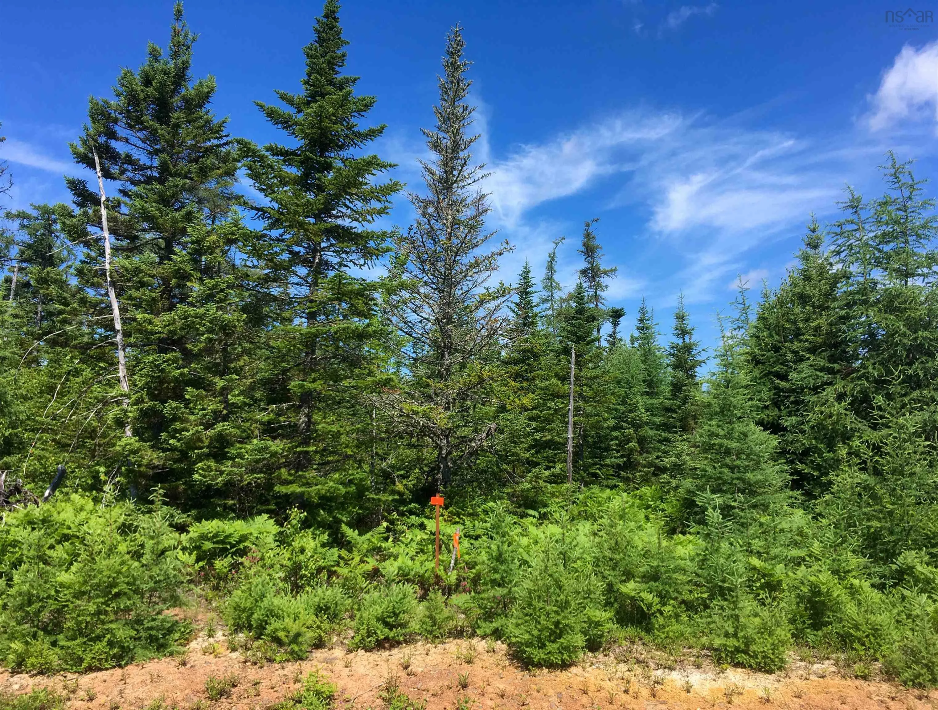 Lot 2 Lake Side Drive, Macintyre Lake, NS B9A 1Y3, ,Land,For Sale,Lake Side,202524920