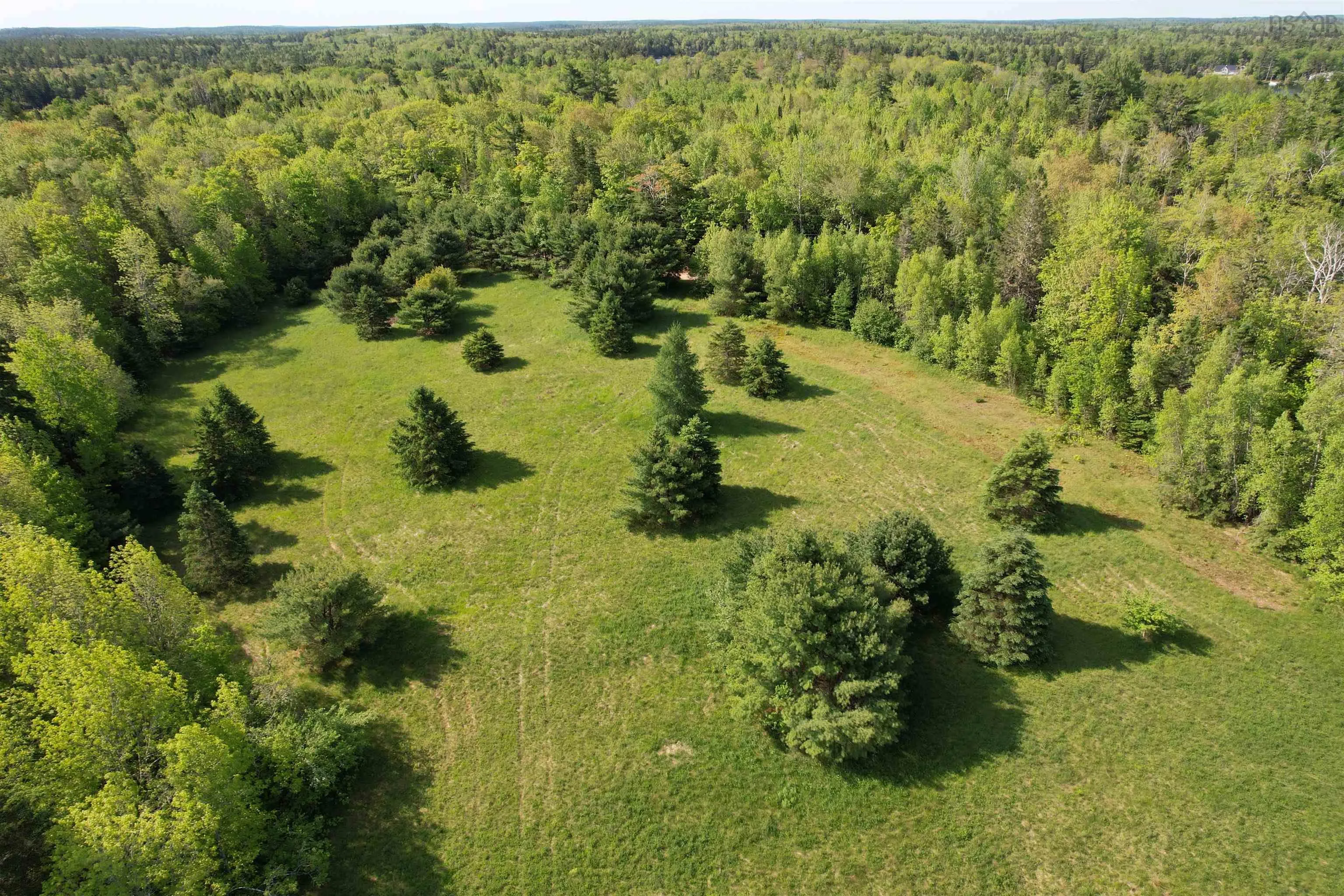 7 Lot Package East Lake Road, New Albany, NS B0S 1P0, ,Land,For Sale,East Lake,202523427