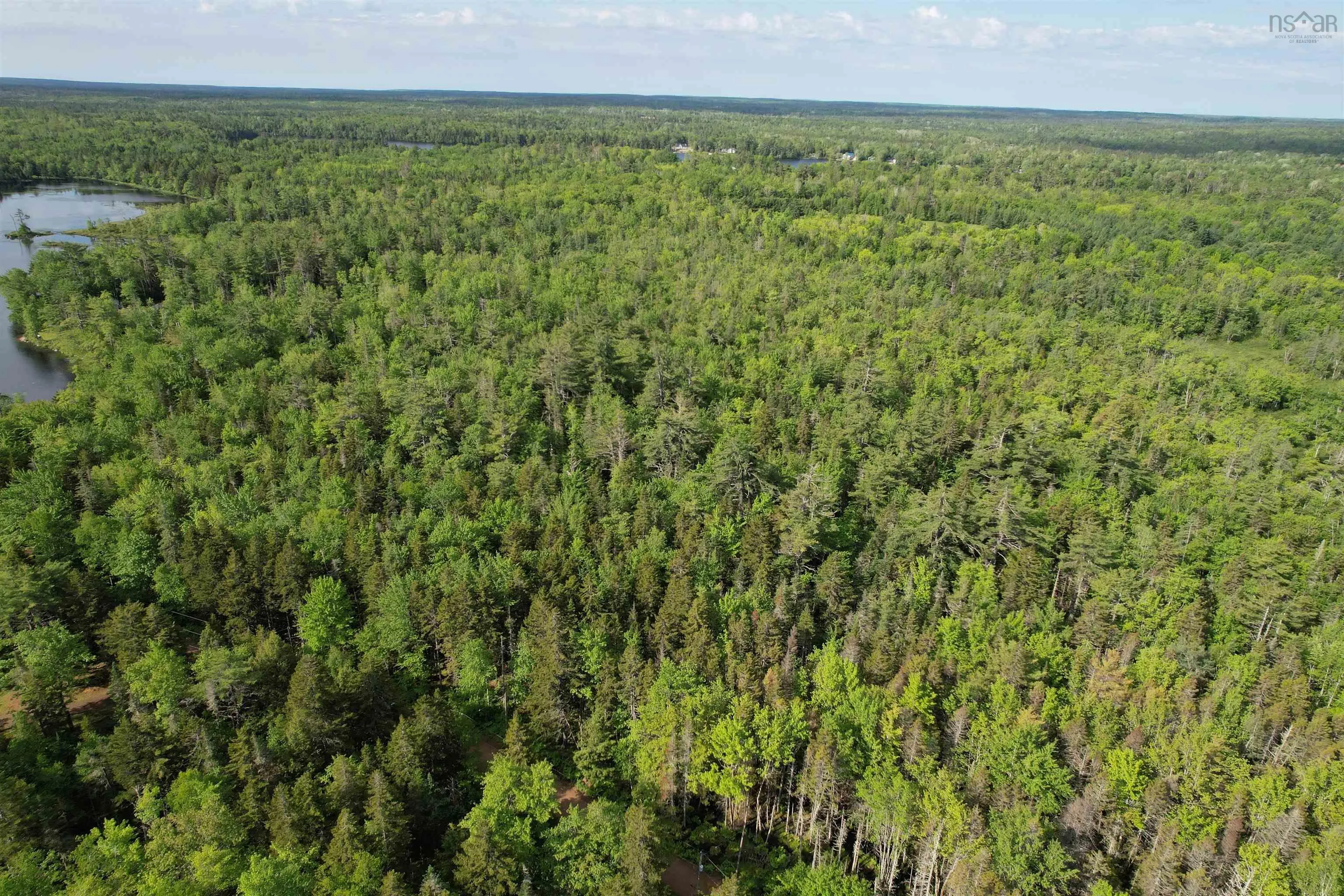 7 Lot Package East Lake Road, New Albany, NS B0S 1P0, ,Land,For Sale,East Lake,202523427