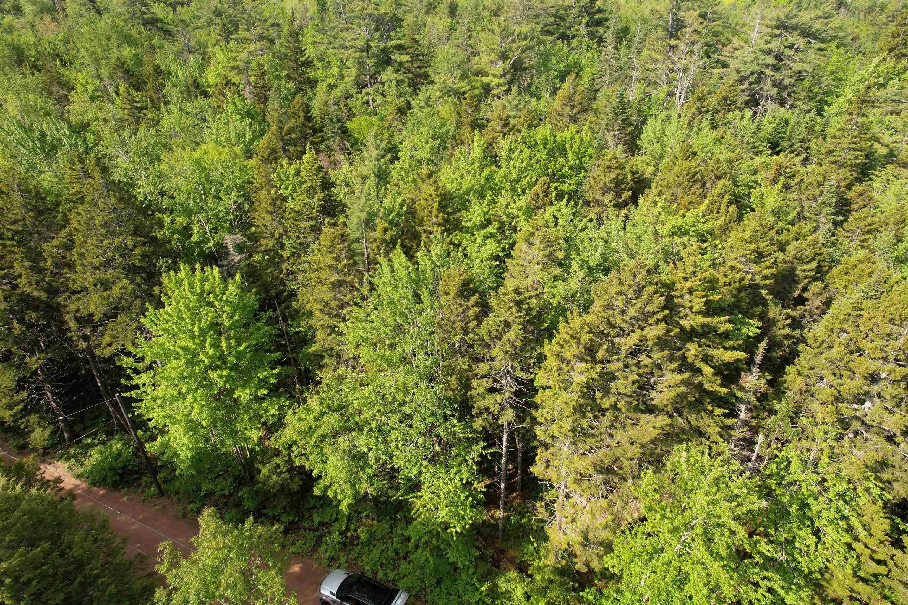 7 Lot Package East Lake Road, New Albany, NS B0S 1P0, ,Land,For Sale,East Lake,202523427