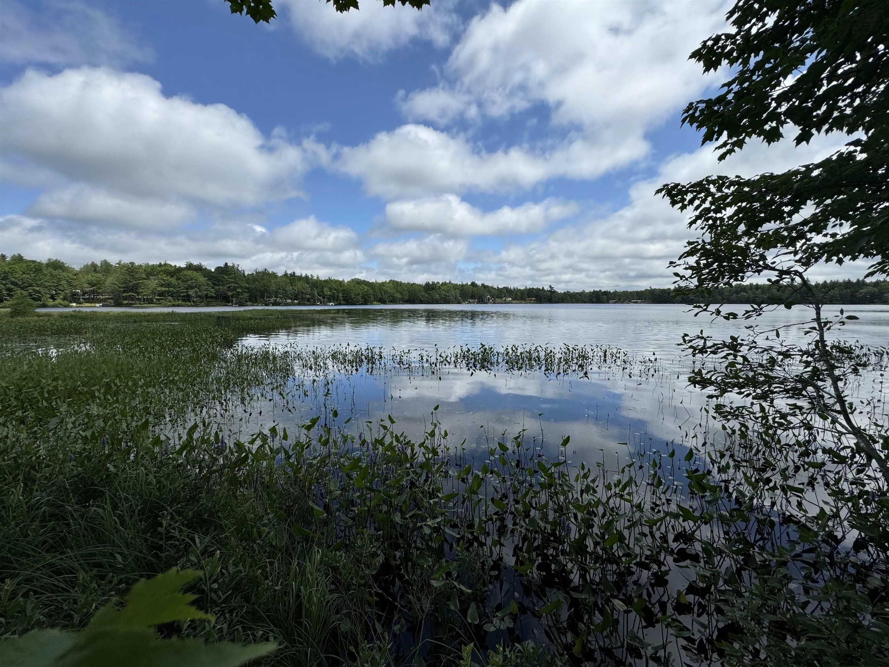 7 Lot Package East Lake Road, New Albany, NS B0S 1P0, ,Land,For Sale,East Lake,202523427
