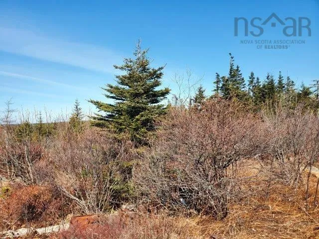 Rocky's Road, Woods Harbour Ns B0w 2e0, ,Land,For Sale,Rocky's,202401565