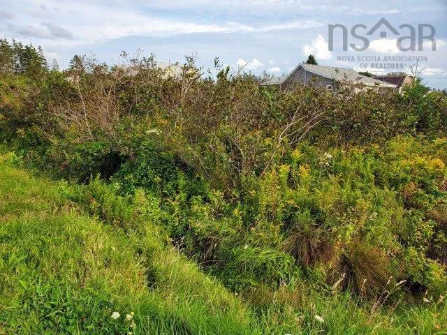 Rocky's Road, Woods Harbour Ns B0w 2e0, ,Land,For Sale,Rocky's,202401565