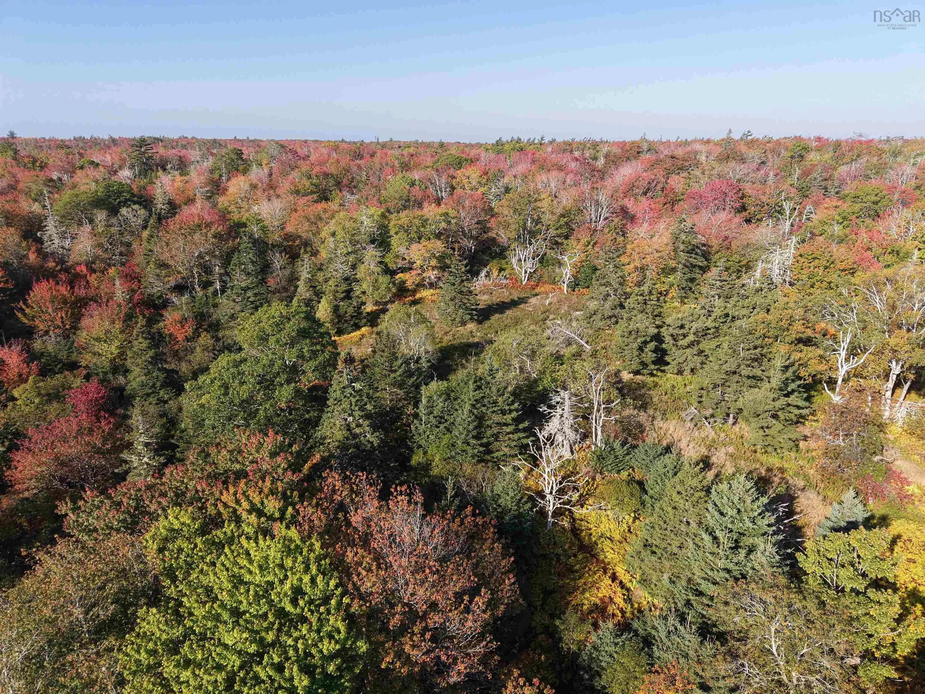 Sandy Point Road, Jordan Ferry, NS B0T 1W0, ,Land,For Sale,Sandy Point,202525585
