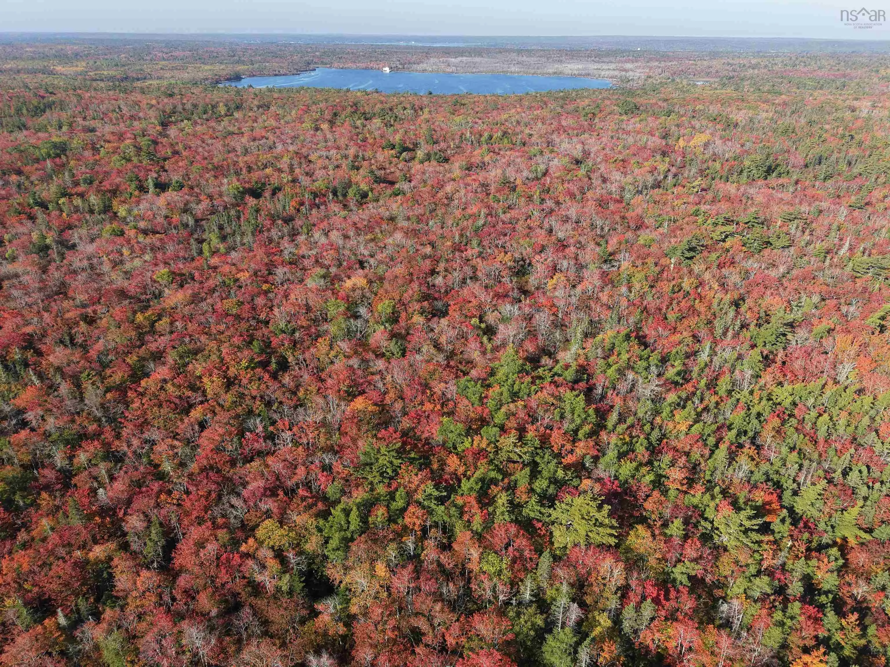Sandy Point Road, Jordan Ferry, NS B0T 1W0, ,Land,For Sale,Sandy Point,202525585
