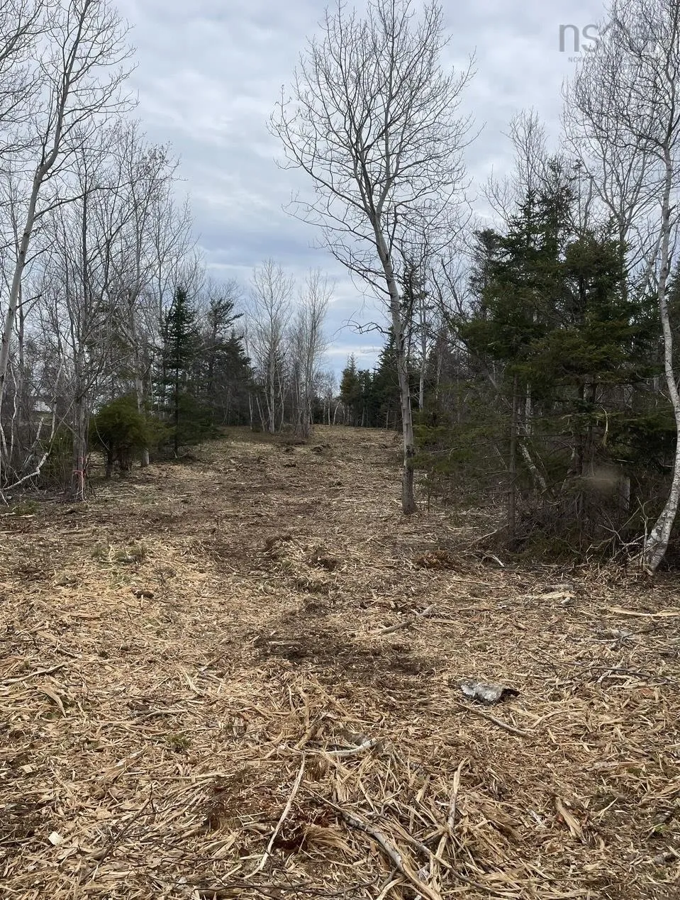 Lot 4 Shore Road, Lower Barneys River Ns B0k 1g0, ,Land,For Sale,Shore,202403031