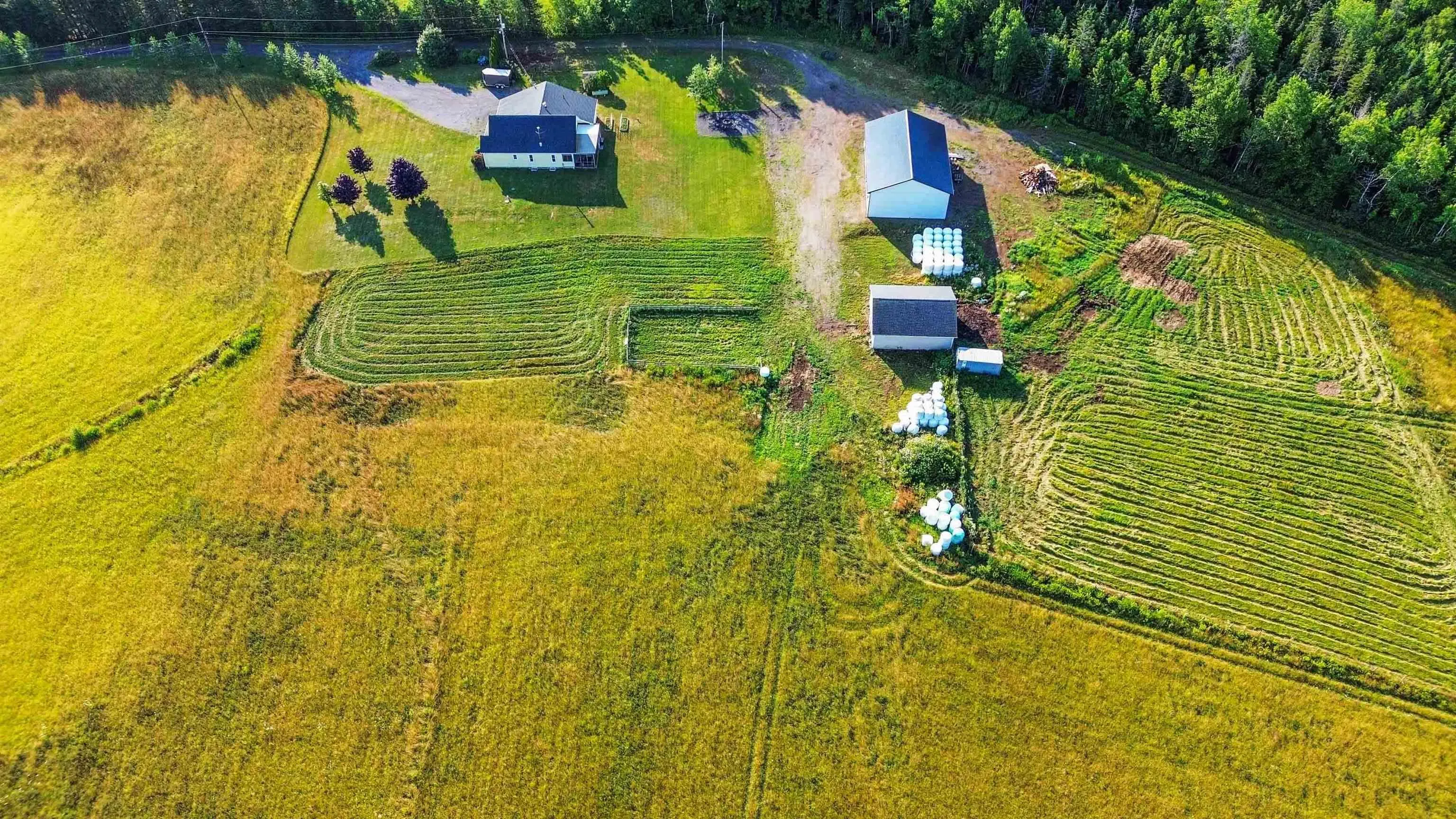 3419 Highway 359, Halls Harbour, NS B0P 1J0, 5 Bedrooms Bedrooms, ,3 BathroomsBathrooms,Farm,For Sale,Highway 359,202519449