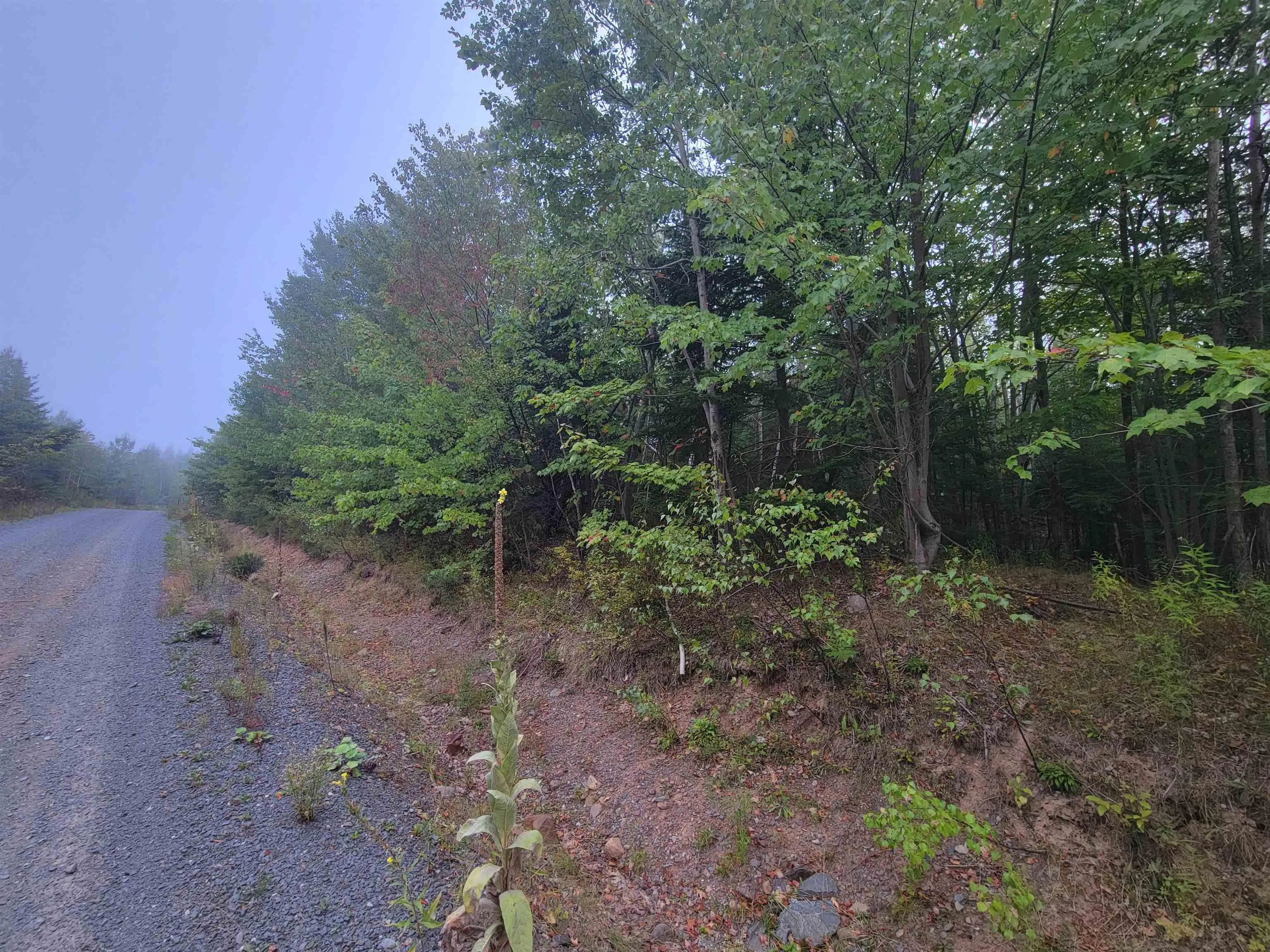 Wilson Road Lot 2, Upper Rawdon, NS B0N 2N0, ,Land,For Sale,Wilson,202522565