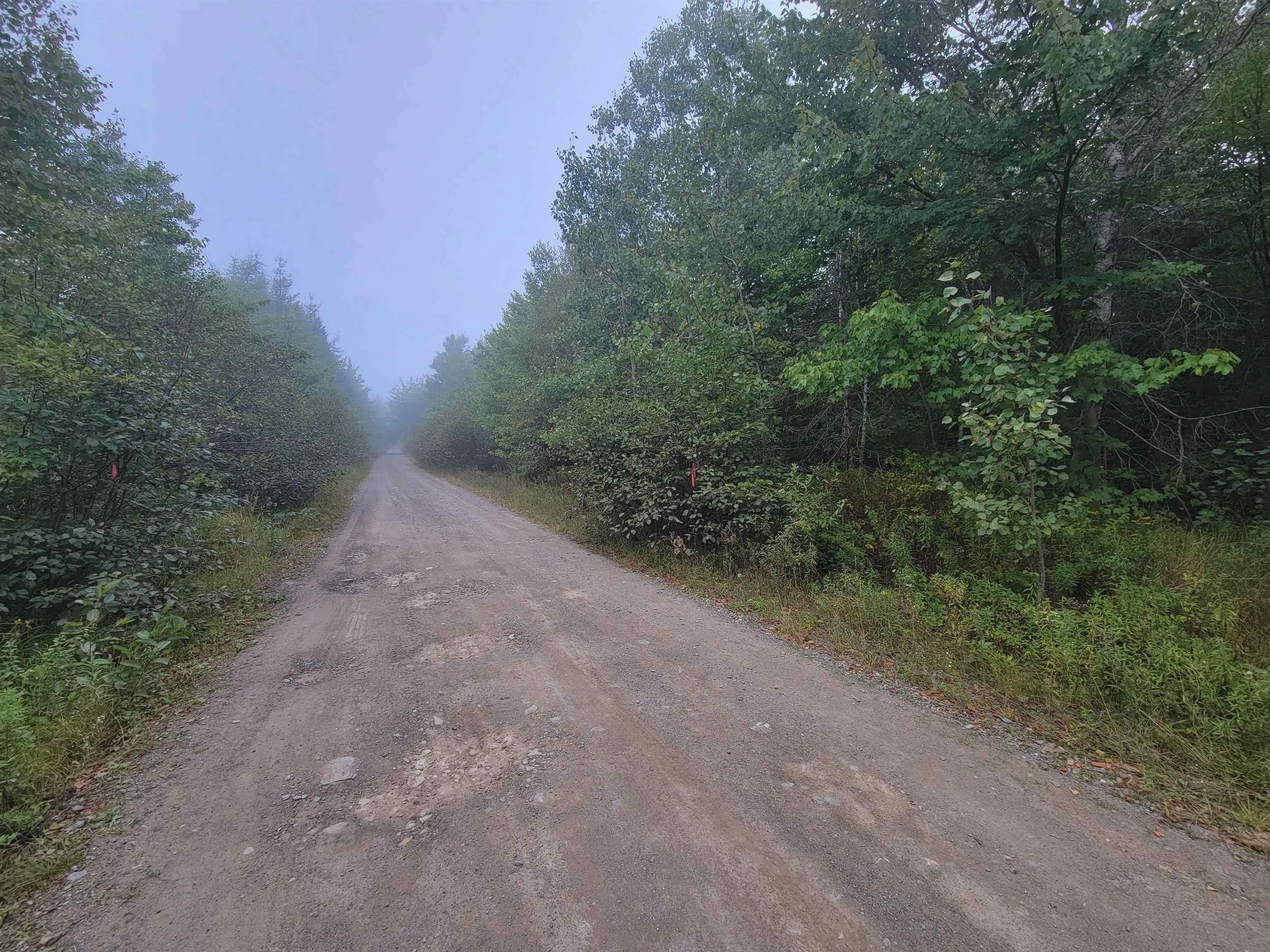 Wilson Road Lot 2, Upper Rawdon, NS B0N 2N0, ,Land,For Sale,Wilson,202522565