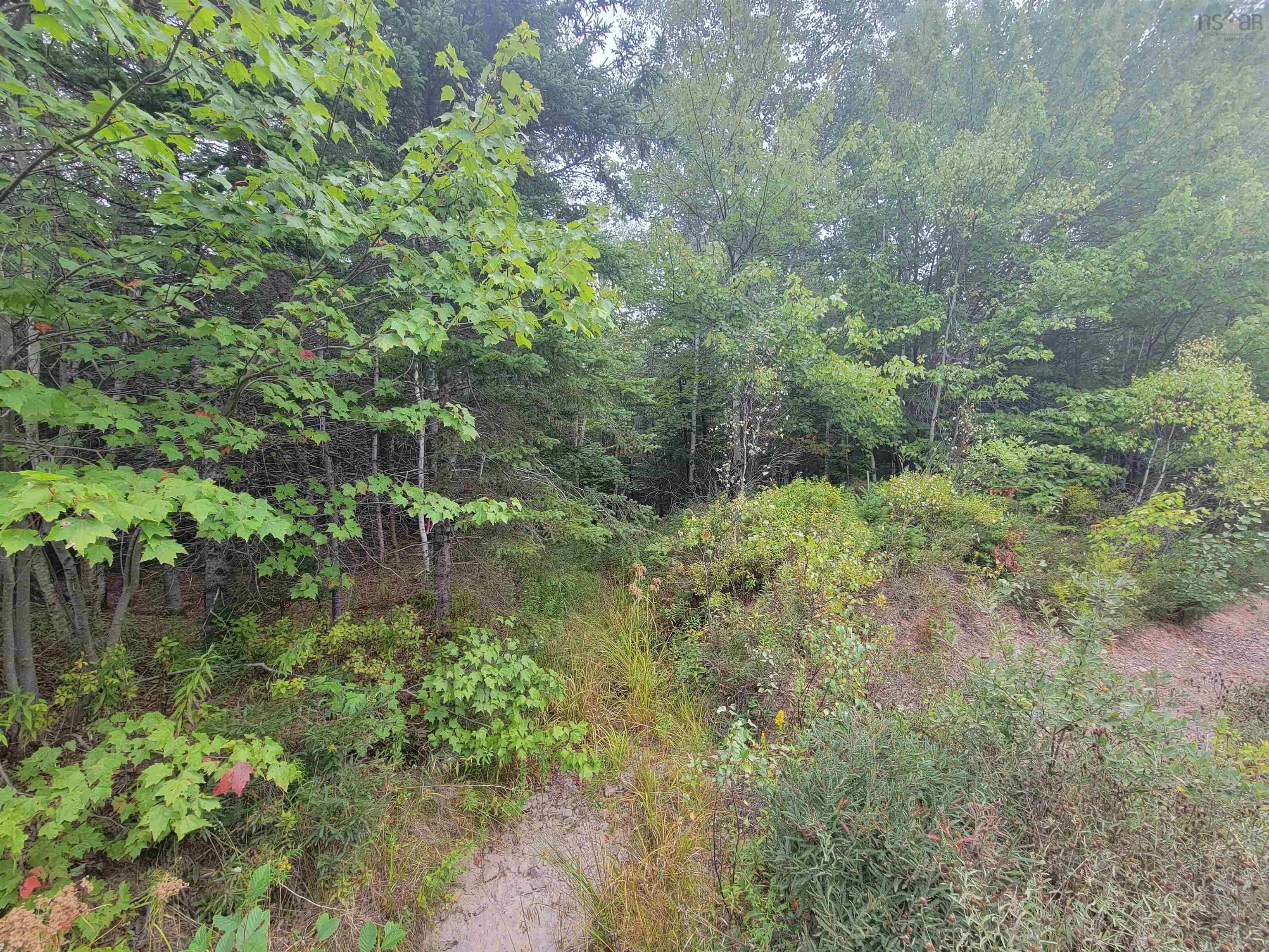 Wilson Road Lot 2, Upper Rawdon, NS B0N 2N0, ,Land,For Sale,Wilson,202522565