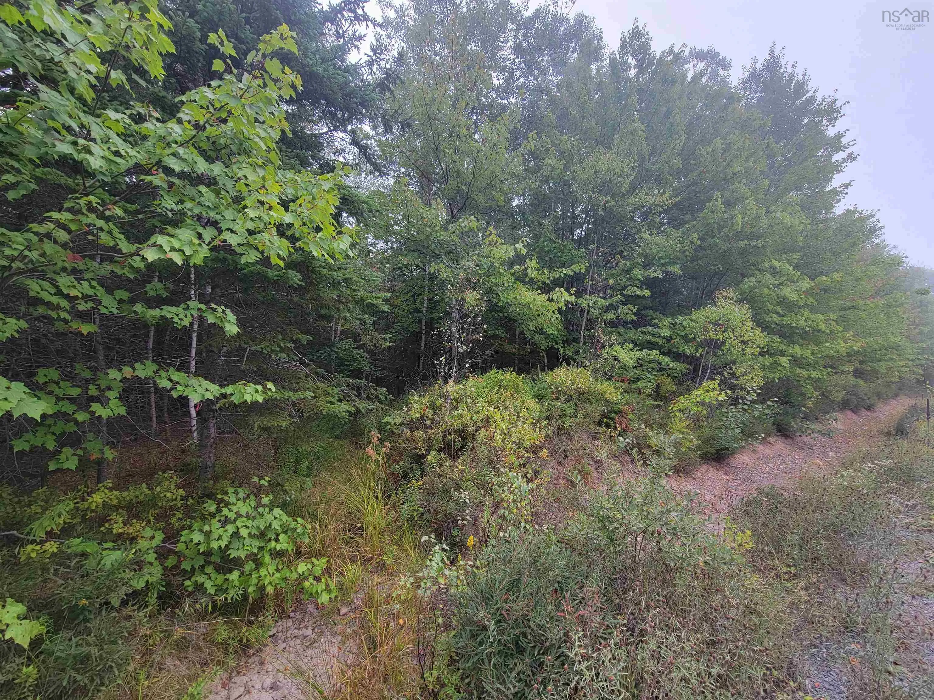 Wilson Road Lot 2, Upper Rawdon, NS B0N 2N0, ,Land,For Sale,Wilson,202522565