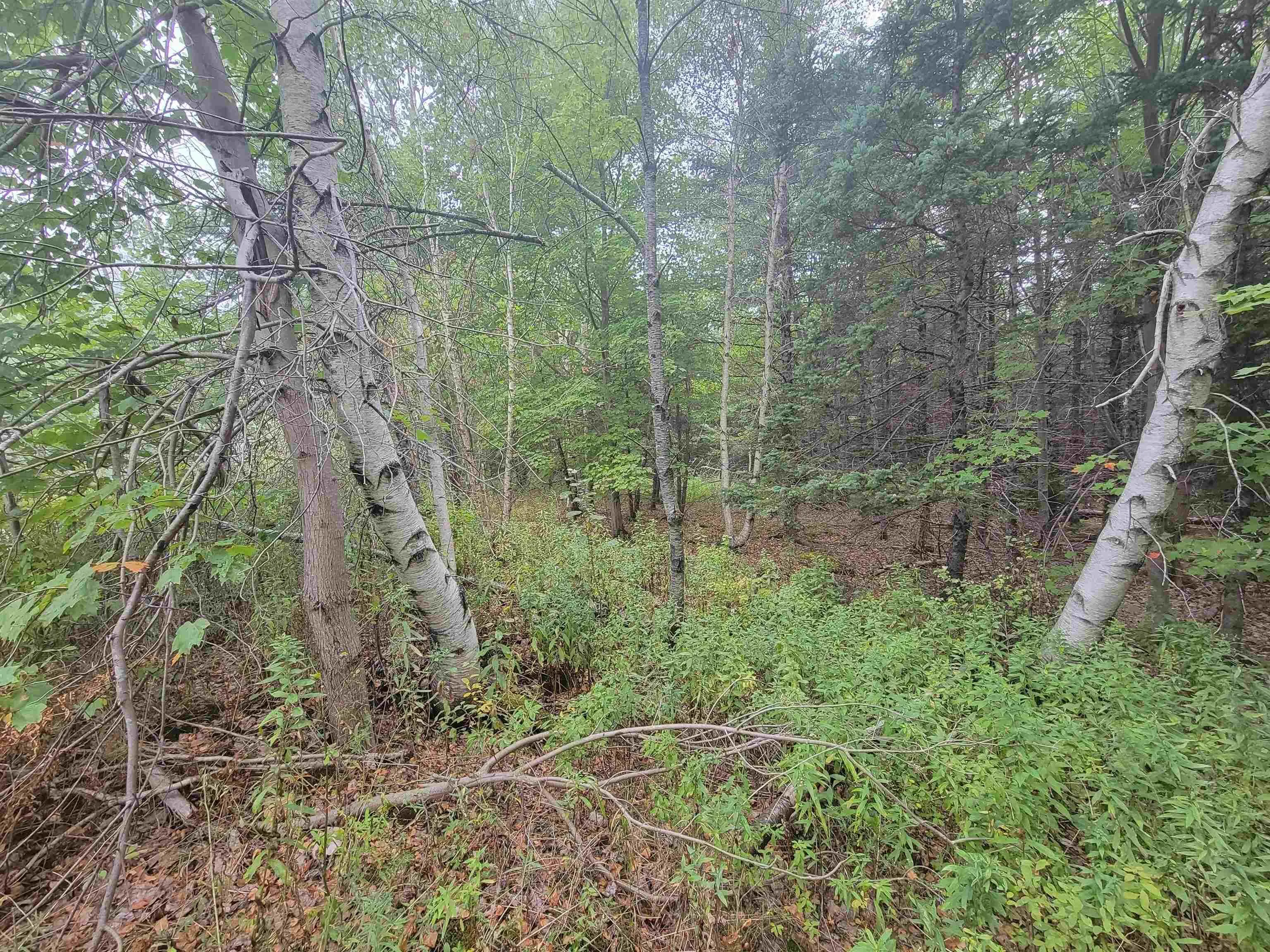 Wilson Road Lot 2, Upper Rawdon, NS B0N 2N0, ,Land,For Sale,Wilson,202522565