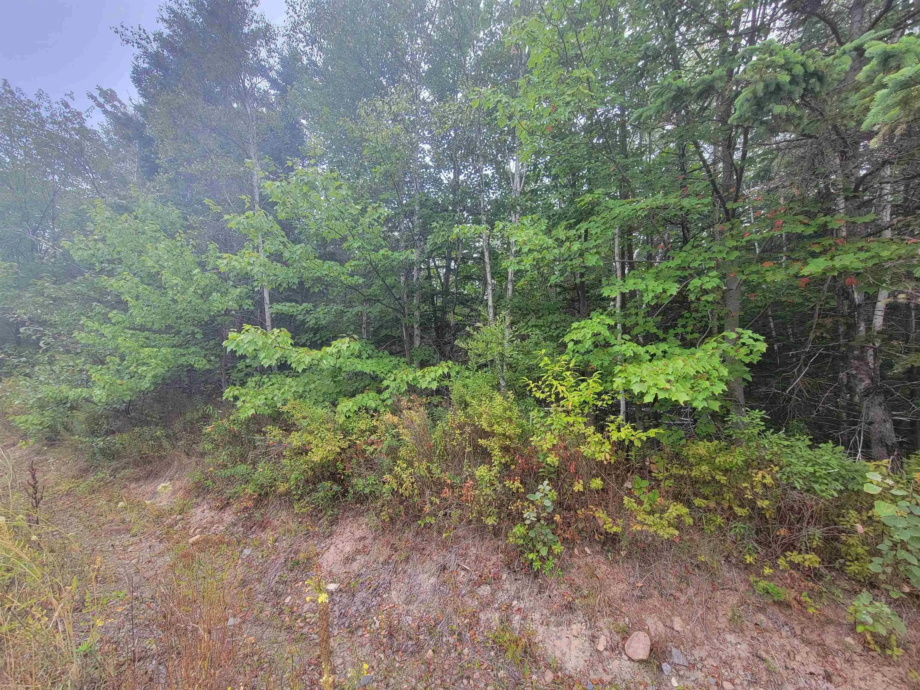 Wilson Road Lot 2, Upper Rawdon, NS B0N 2N0, ,Land,For Sale,Wilson,202522565