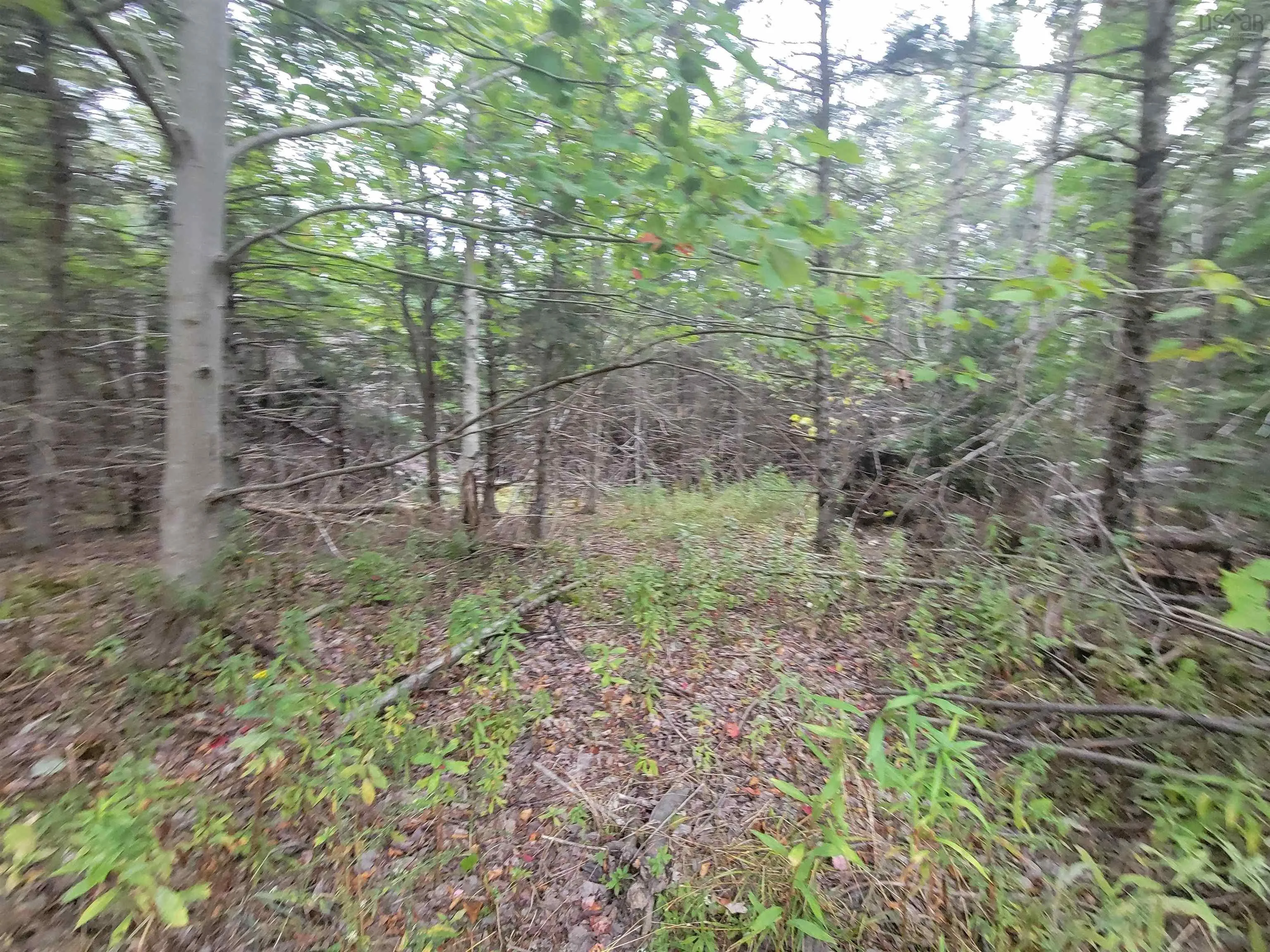 Wilson Road Lot 2, Upper Rawdon, NS B0N 2N0, ,Land,For Sale,Wilson,202522565