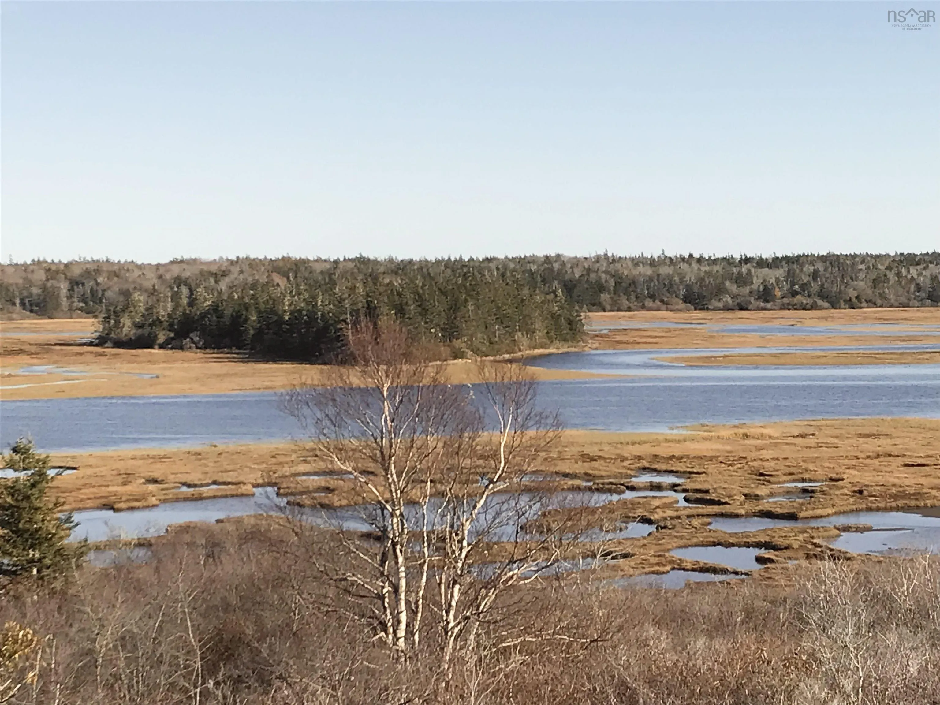0 Chebogue Road, Arcadia Ns B0w 1b0, ,Land,For Sale,Chebogue,202201446