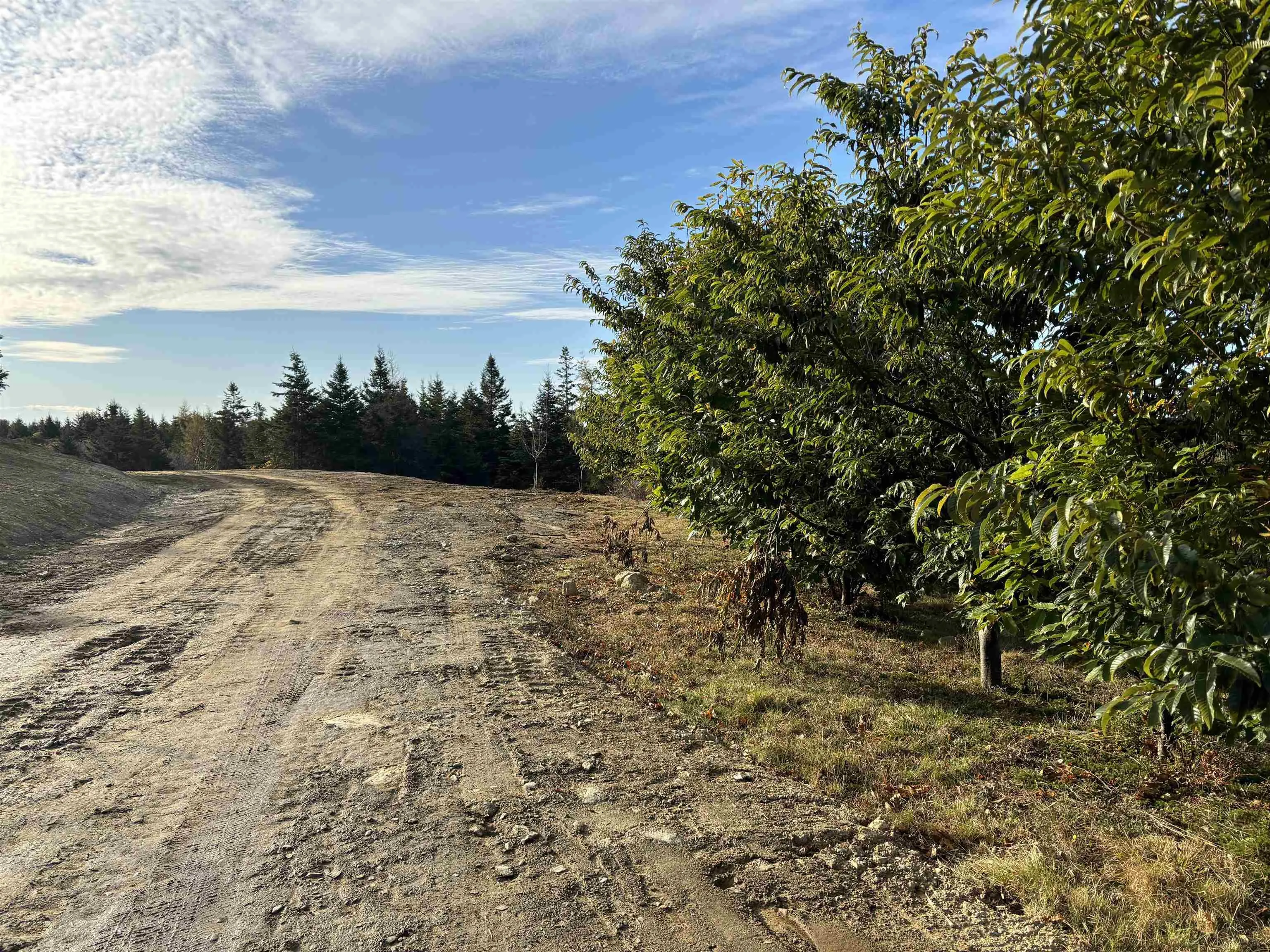 0 Chebogue Road, Arcadia Ns B0w 1b0, ,Land,For Sale,Chebogue,202201446