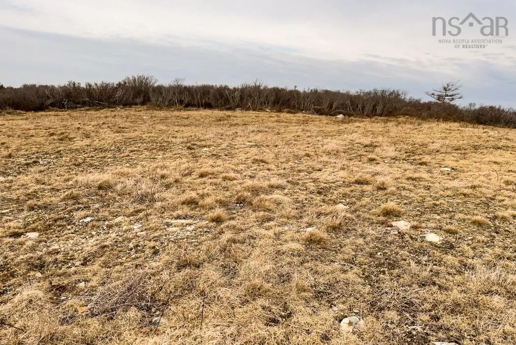 0 Chebogue Road, Arcadia Ns B0w 1b0, ,Land,For Sale,Chebogue,202201446