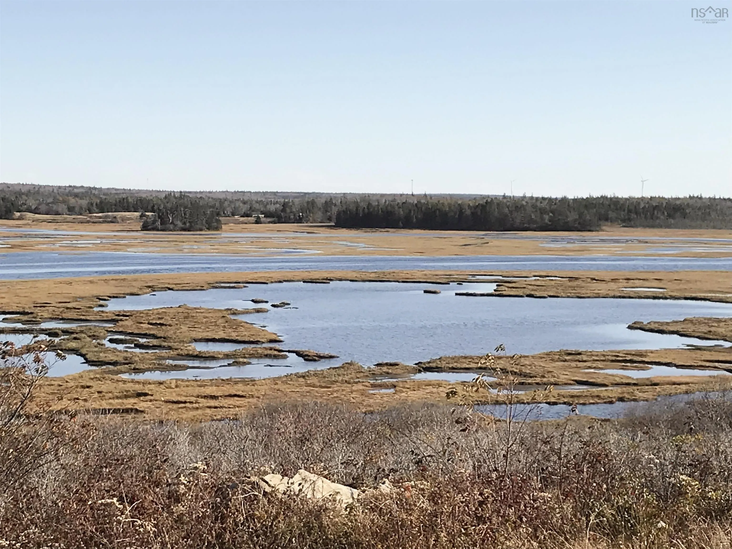 0 Chebogue Road, Arcadia Ns B0w 1b0, ,Land,For Sale,Chebogue,202201446