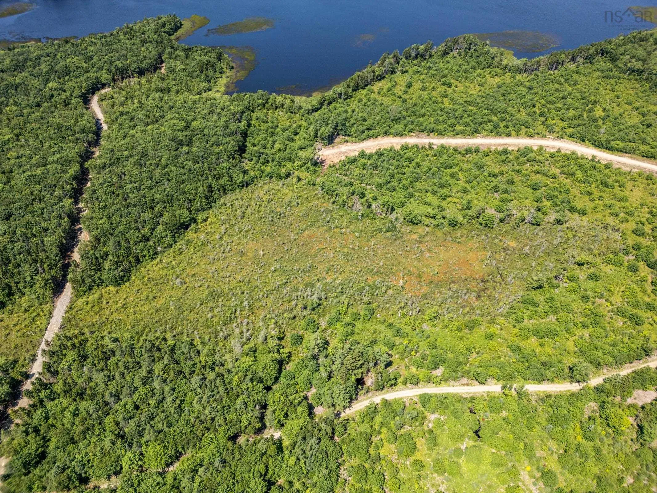 92 Sunshine Drive, Concession, NS B0W 1M0, ,Land,For Sale,Sunshine Drive,202519218