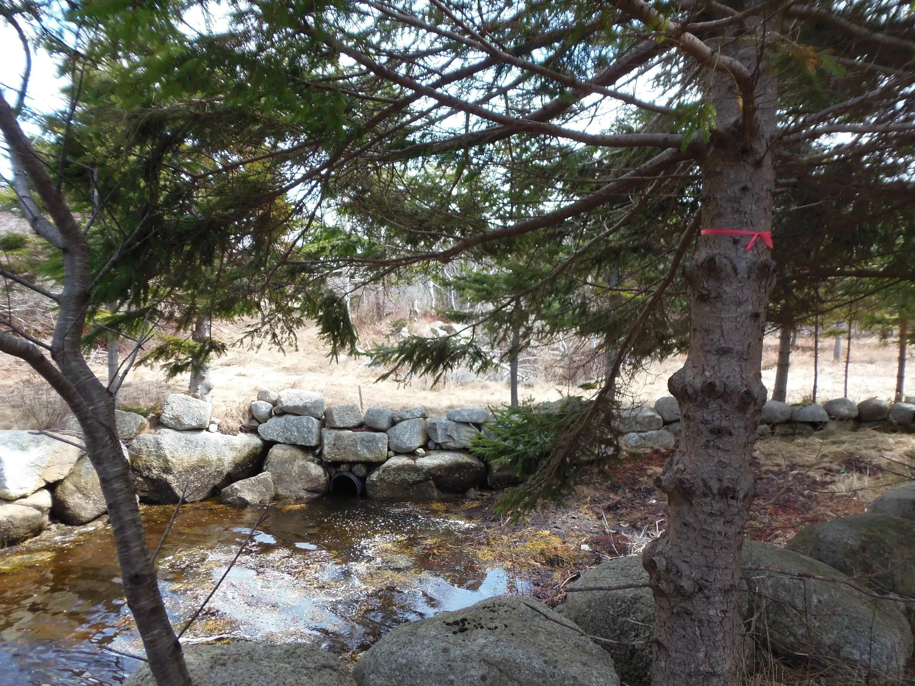 Lot Z1,xc-ab Back Bay Road, Prospect Bay Ns B3t 1y1, ,Land,For Sale,Back Bay,202508192