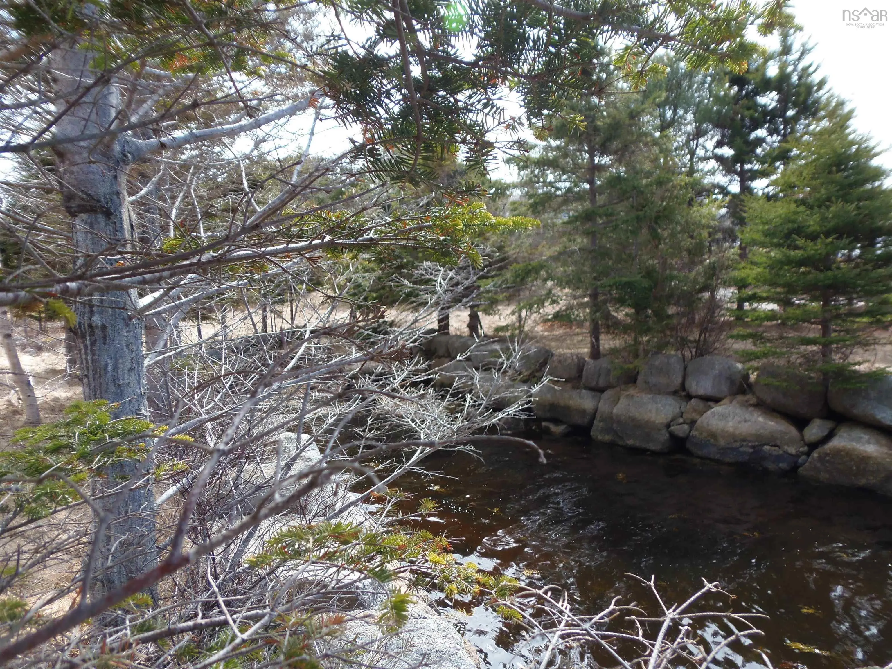 Lot Z1,xc-ab Back Bay Road, Prospect Bay Ns B3t 1y1, ,Land,For Sale,Back Bay,202508192