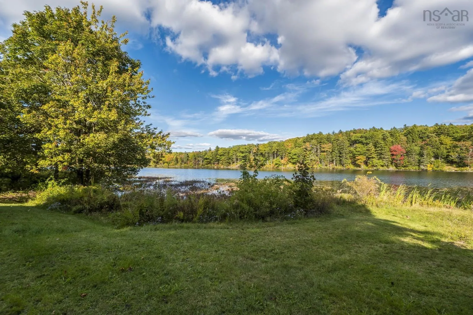21 Wildwood Boulevard, Dartmouth, NS B2W 2L7, 5 Bedrooms Bedrooms, ,3 BathroomsBathrooms,Residential,For Sale,Wildwood,202525619