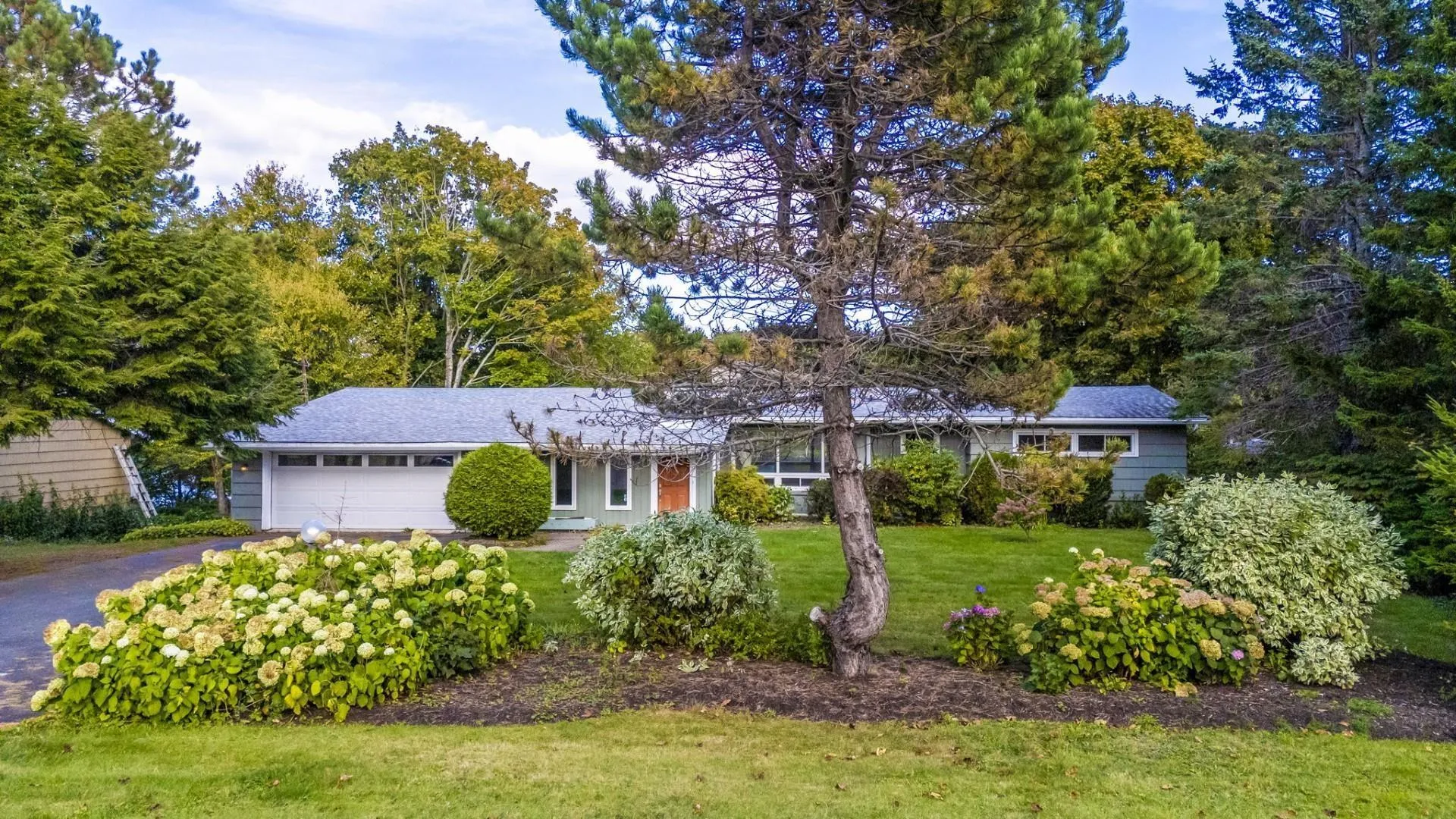21 Wildwood Boulevard, Dartmouth, NS B2W 2L7, 5 Bedrooms Bedrooms, ,3 BathroomsBathrooms,Residential,For Sale,Wildwood,202525619