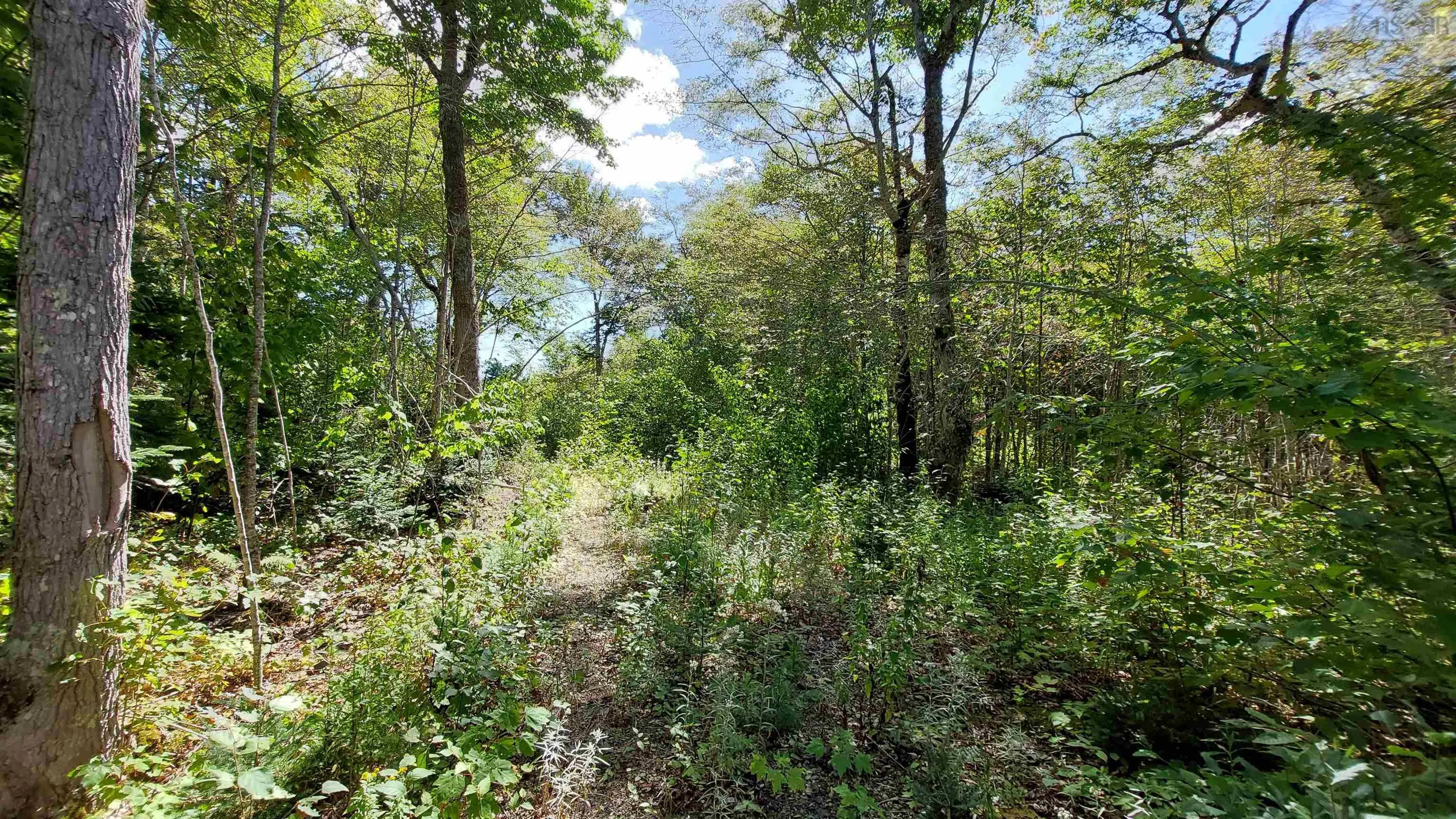 Lot 11 Duke Lane, Malagawatch Ns B0e 2y0, ,Land,For Sale,Duke Lane,202500605