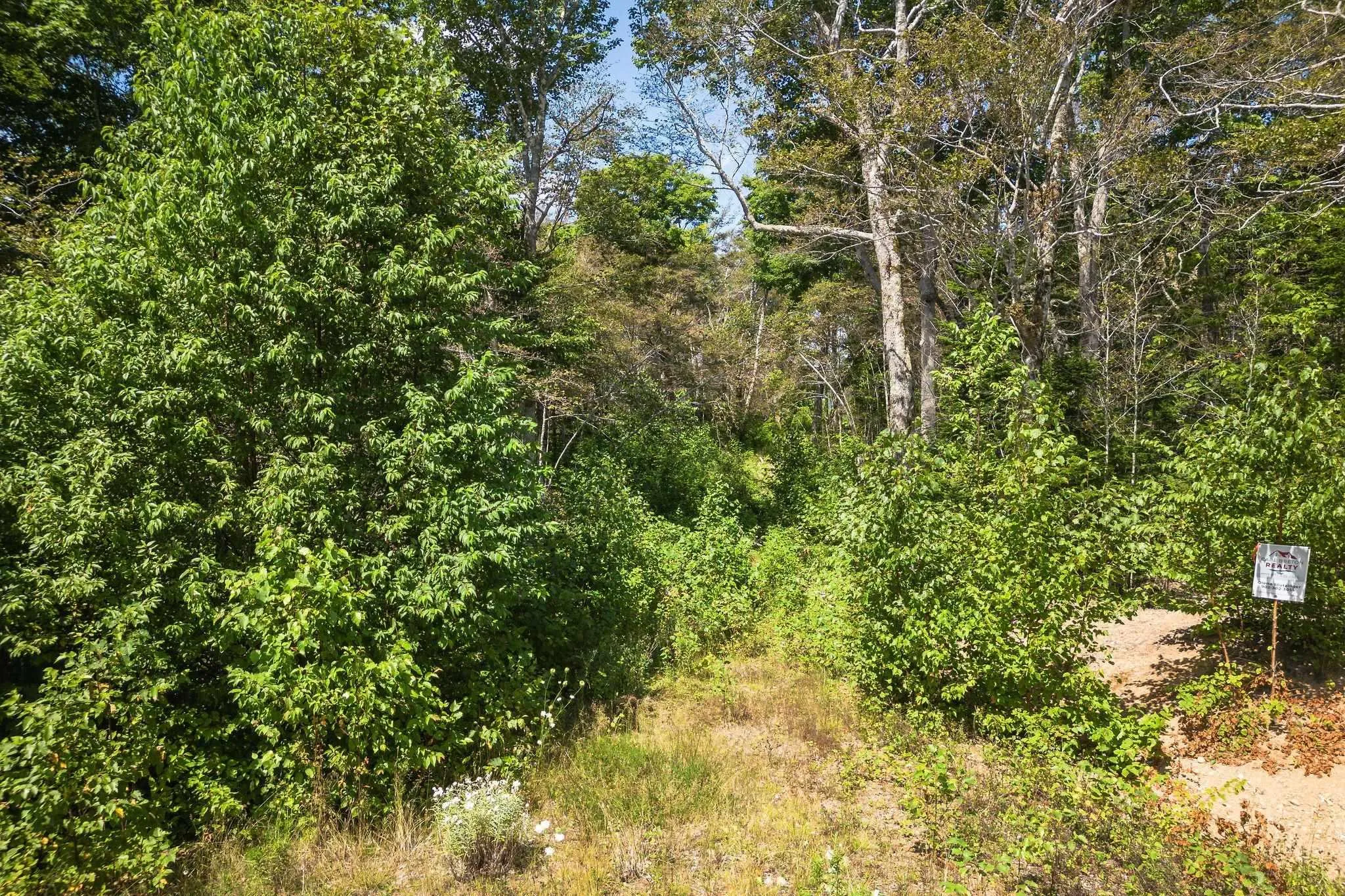 Lot 11 Duke Lane, Malagawatch Ns B0e 2y0, ,Land,For Sale,Duke Lane,202500605