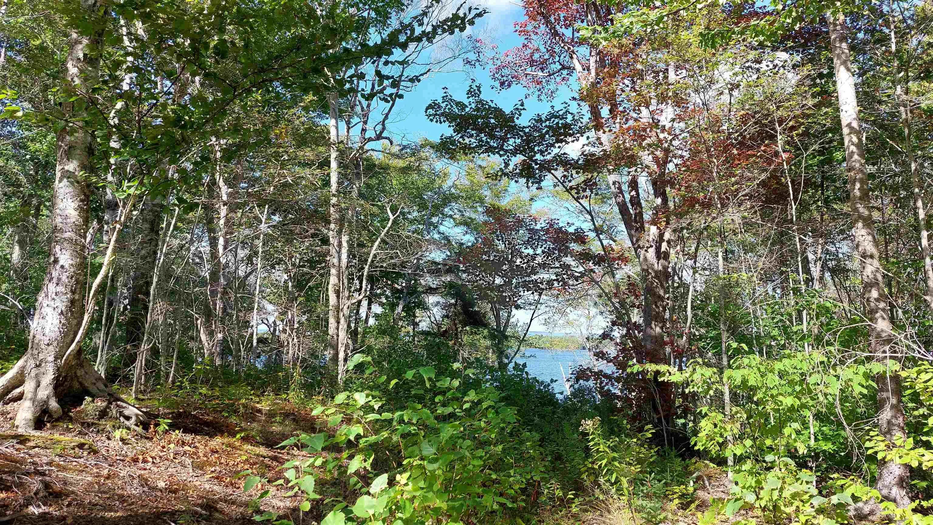 Lot 11 Duke Lane, Malagawatch Ns B0e 2y0, ,Land,For Sale,Duke Lane,202500605