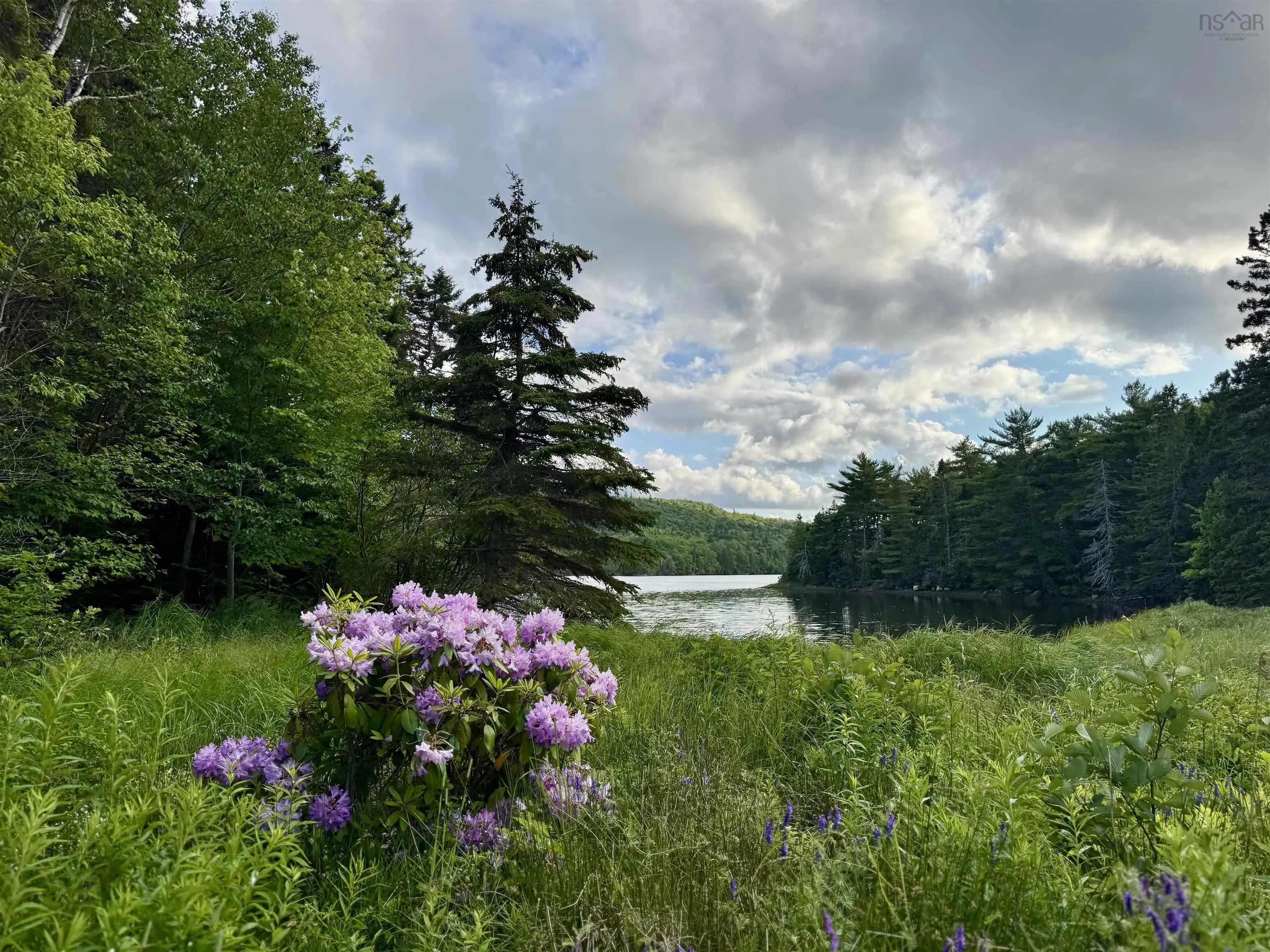 9169 Highway 16, Cooks Cove, NS B0H 1N0, 4 Bedrooms Bedrooms, ,4 BathroomsBathrooms,Residential,For Sale,Highway 16,202518331