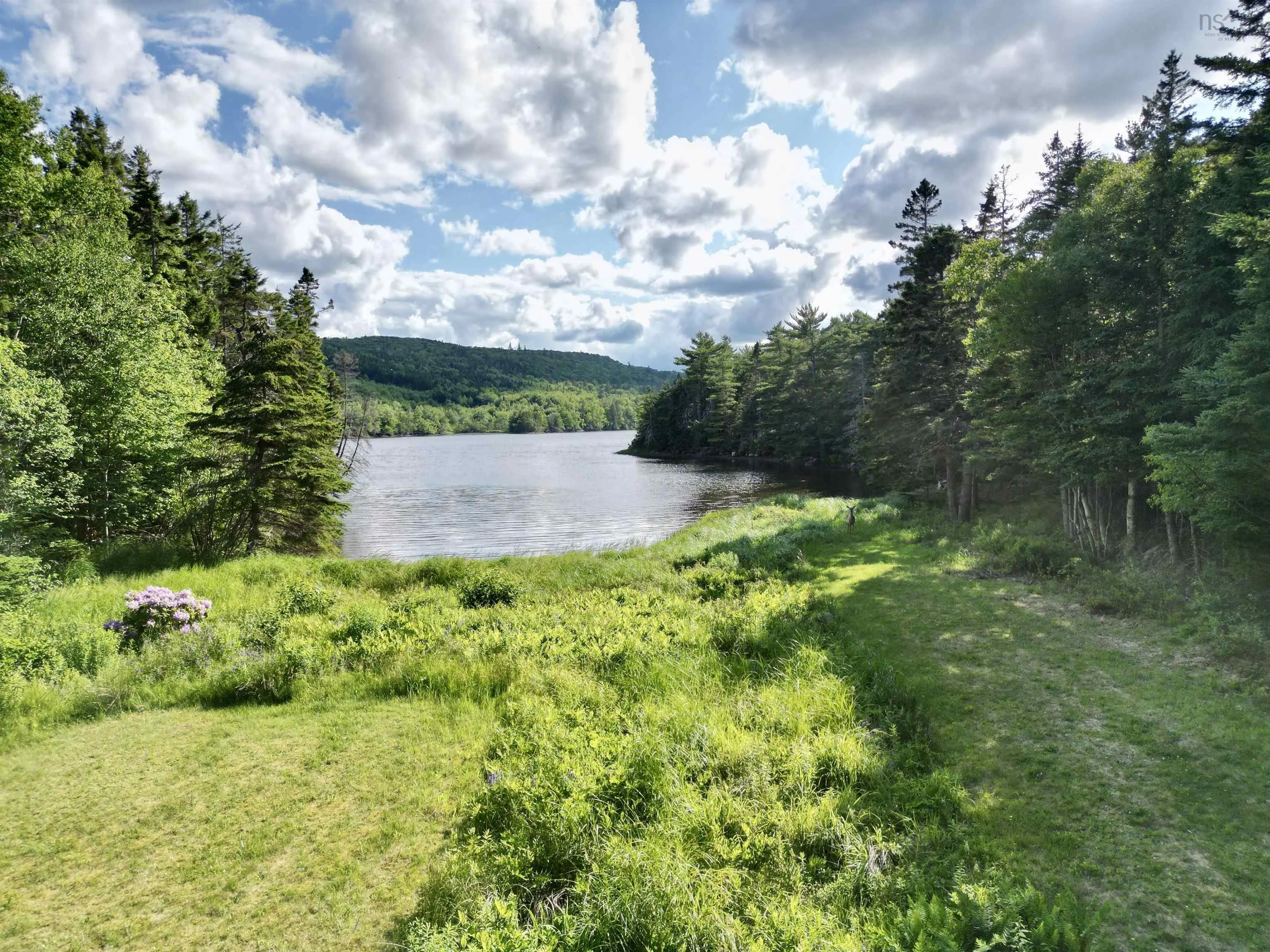 9169 Highway 16, Cooks Cove, NS B0H 1N0, 4 Bedrooms Bedrooms, ,4 BathroomsBathrooms,Residential,For Sale,Highway 16,202518331