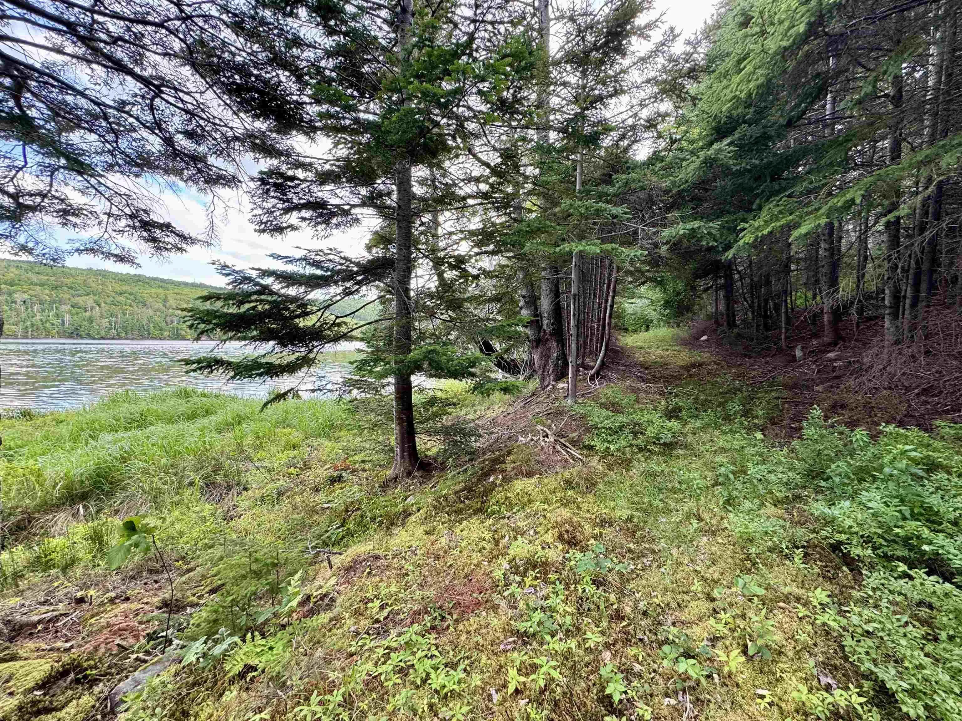 9169 Highway 16, Cooks Cove, NS B0H 1N0, 4 Bedrooms Bedrooms, ,4 BathroomsBathrooms,Residential,For Sale,Highway 16,202518331
