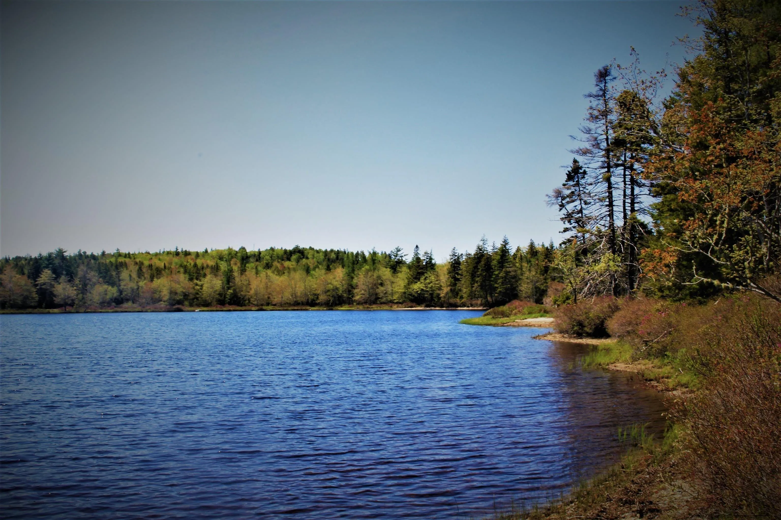2 Laconia Road, Lunenburg Ns B4v 5v9, ,Land,For Sale,Laconia,202501915
