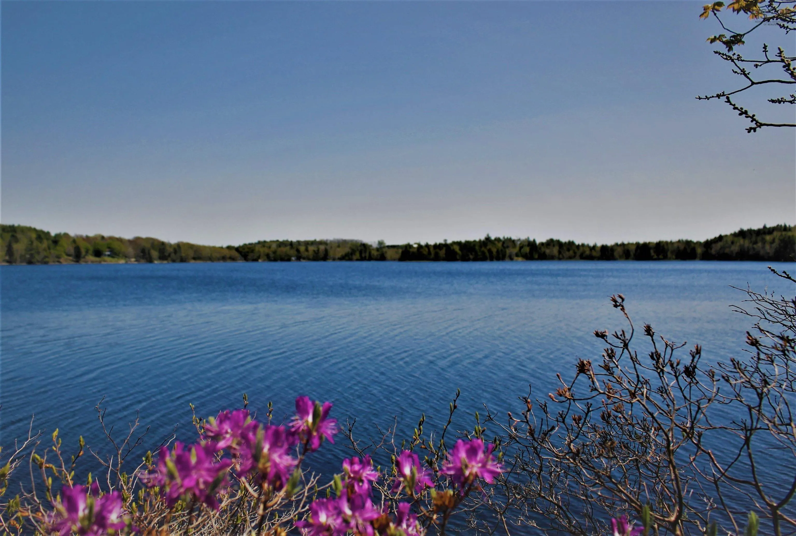 2 Laconia Road, Lunenburg Ns B4v 5v9, ,Land,For Sale,Laconia,202501915