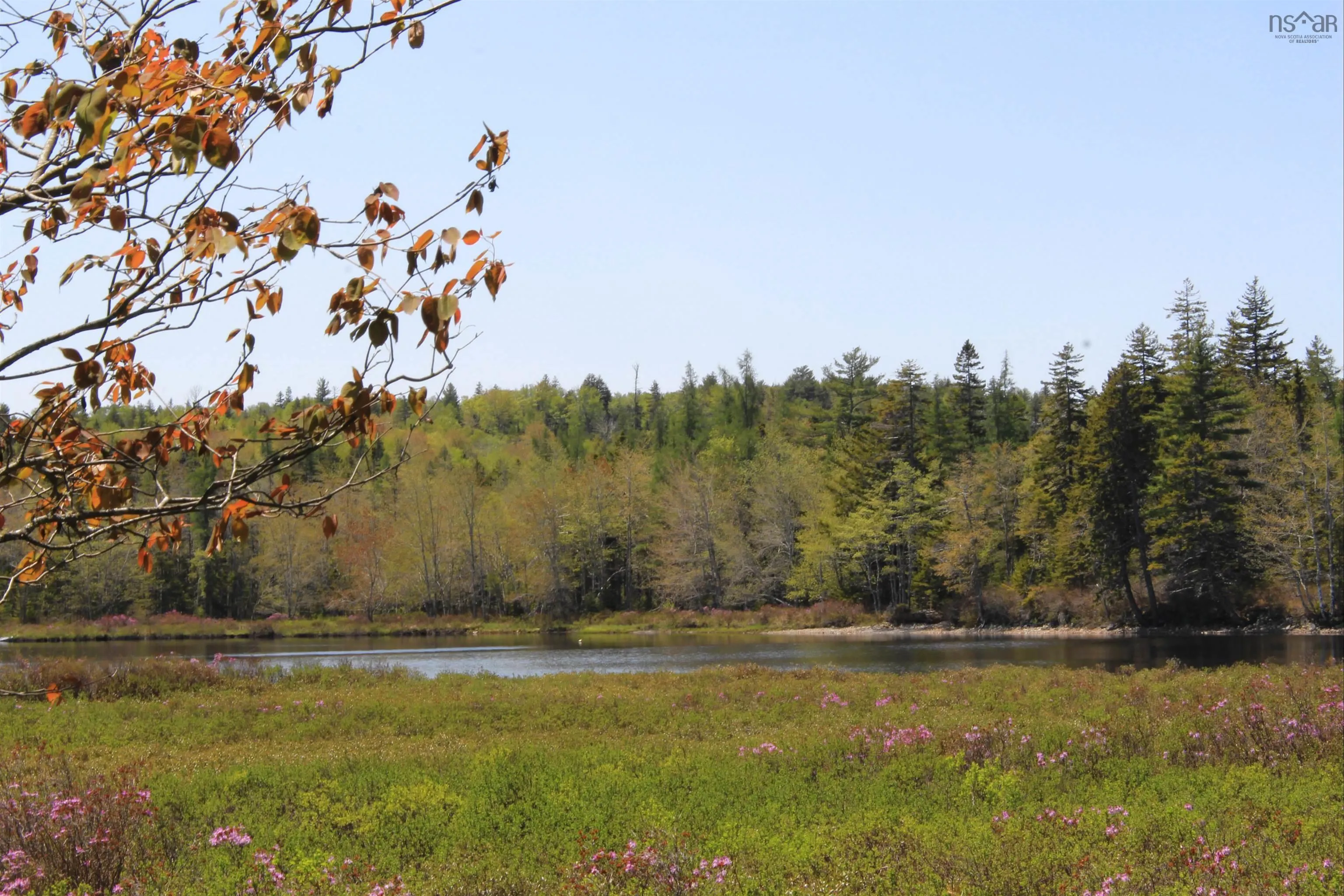 2 Laconia Road, Lunenburg Ns B4v 5v9, ,Land,For Sale,Laconia,202501915