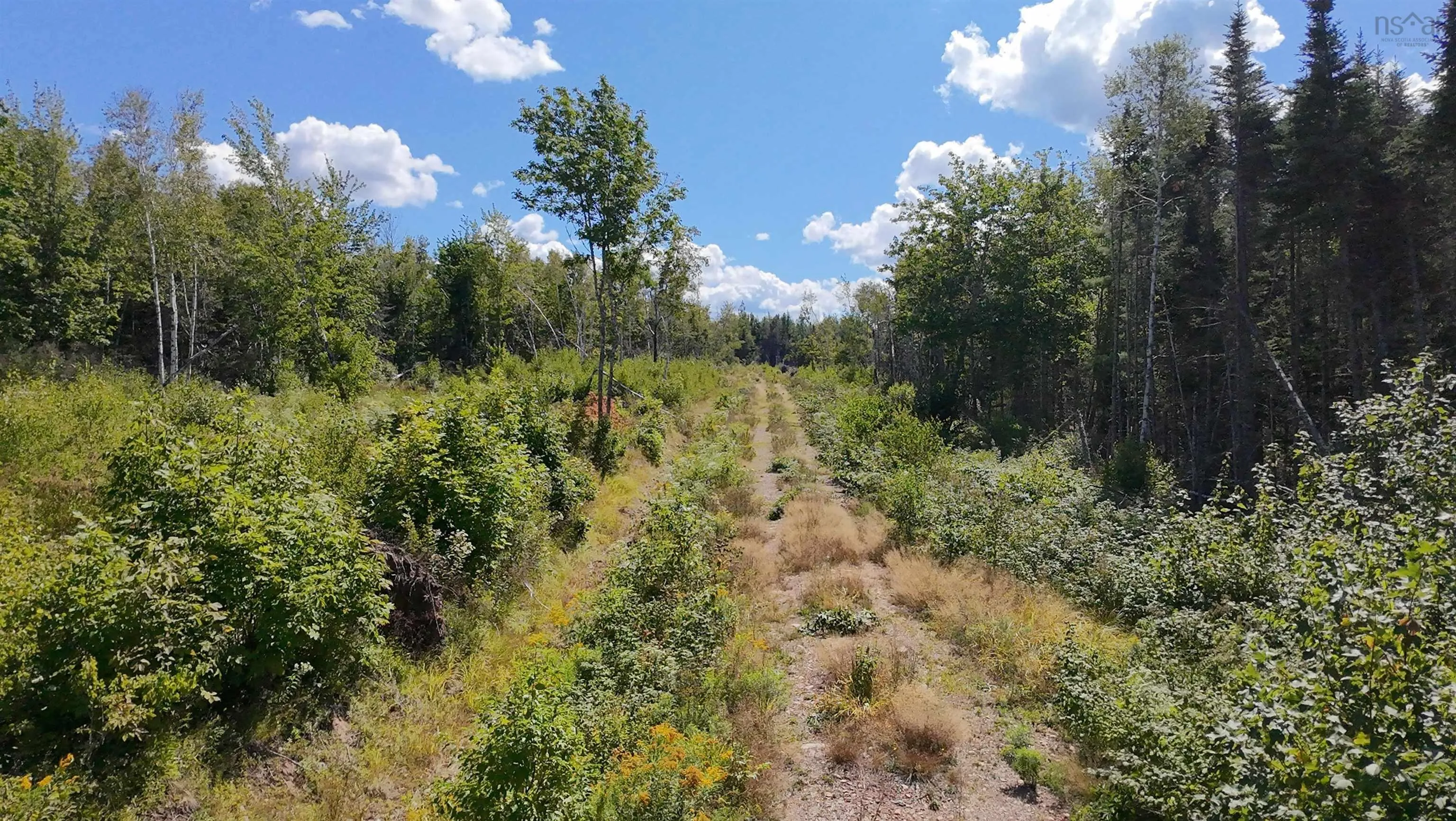 0 Lot Dalhousie Road, Loganville, NS B0K 1R0, ,Land,For Sale,Lot Dalhousie,202521382
