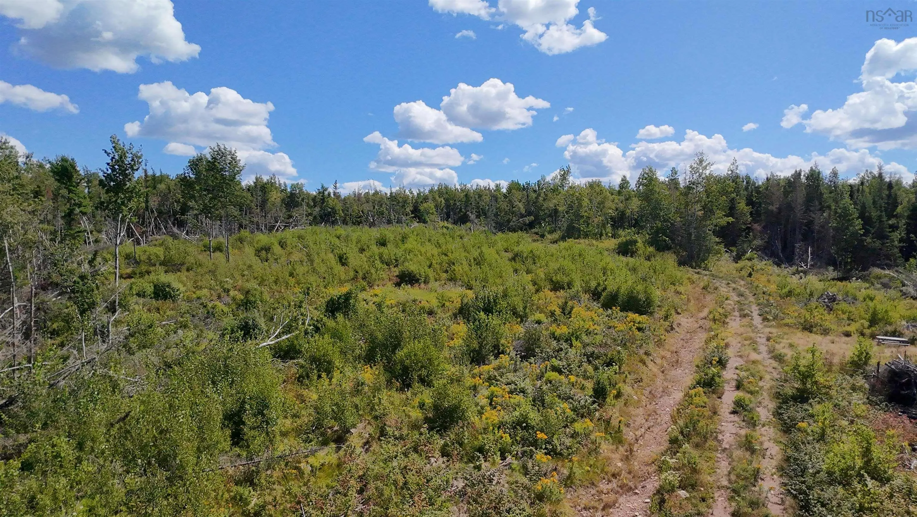 0 Lot Dalhousie Road, Loganville, NS B0K 1R0, ,Land,For Sale,Lot Dalhousie,202521382
