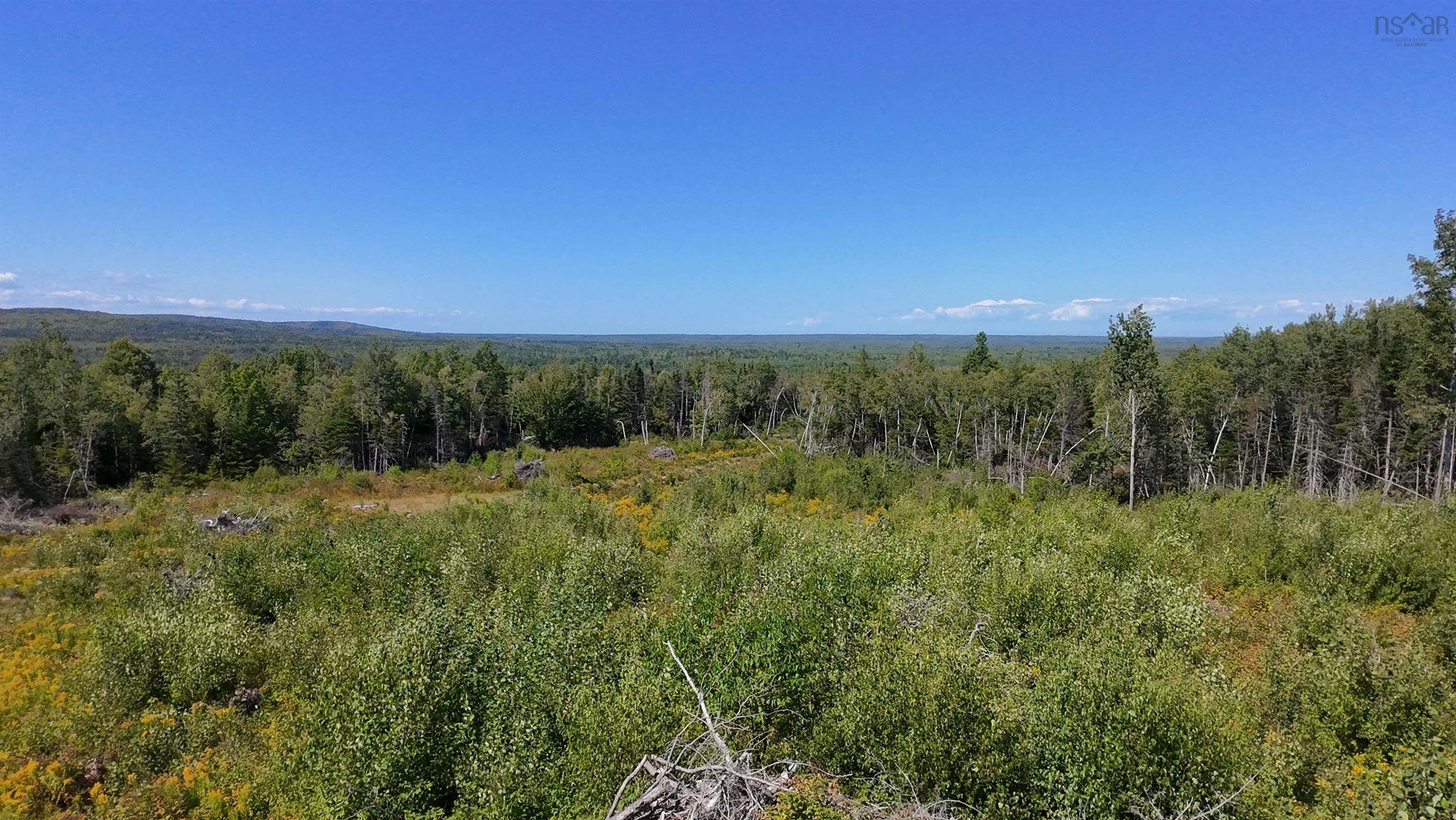 0 Lot Dalhousie Road, Loganville, NS B0K 1R0, ,Land,For Sale,Lot Dalhousie,202521382