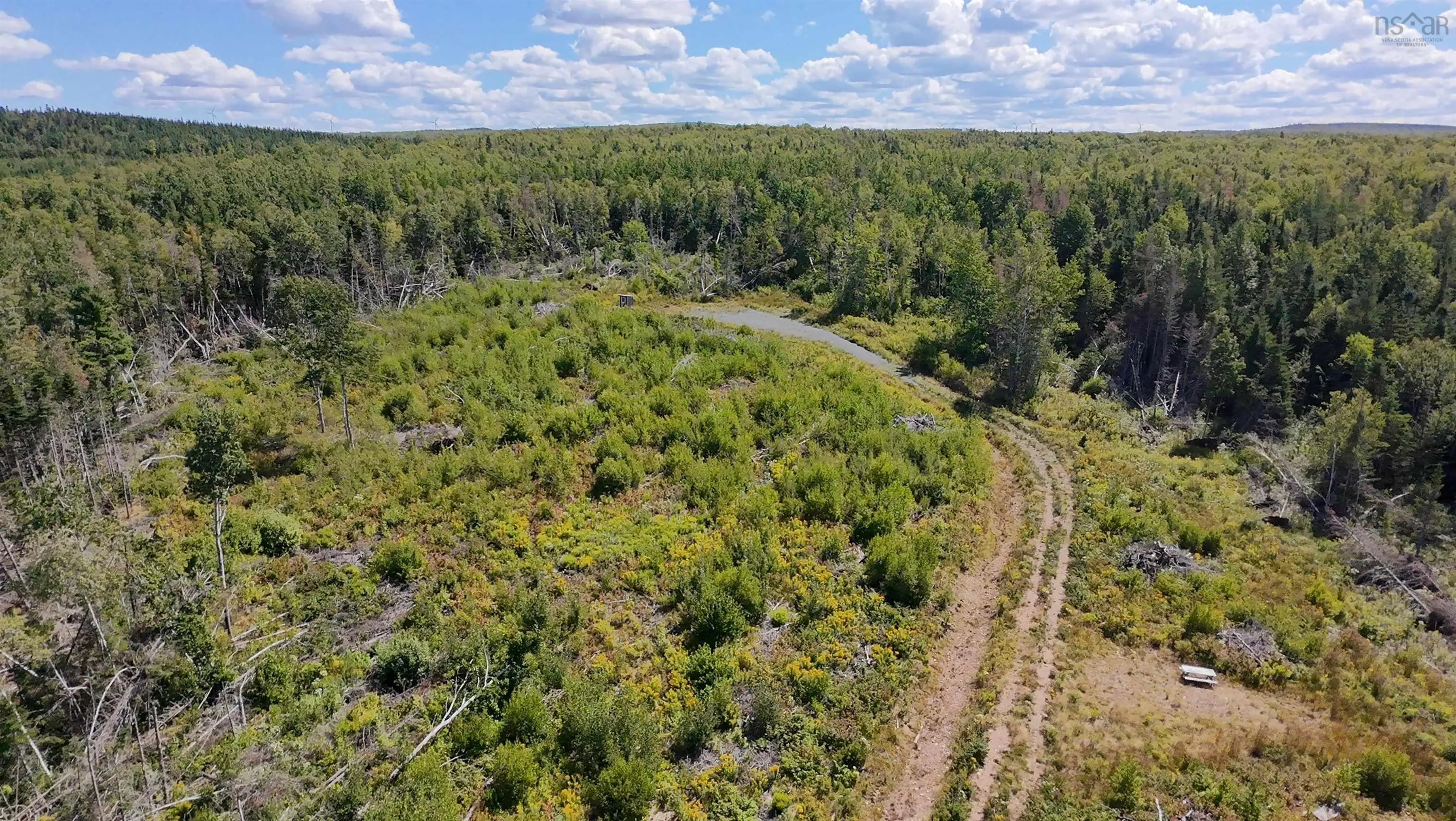 0 Lot Dalhousie Road, Loganville, NS B0K 1R0, ,Land,For Sale,Lot Dalhousie,202521382