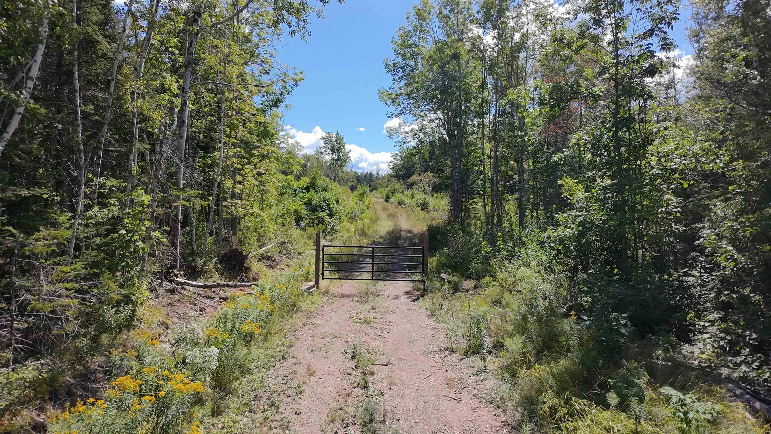0 Lot Dalhousie Road, Loganville, NS B0K 1R0, ,Land,For Sale,Lot Dalhousie,202521382
