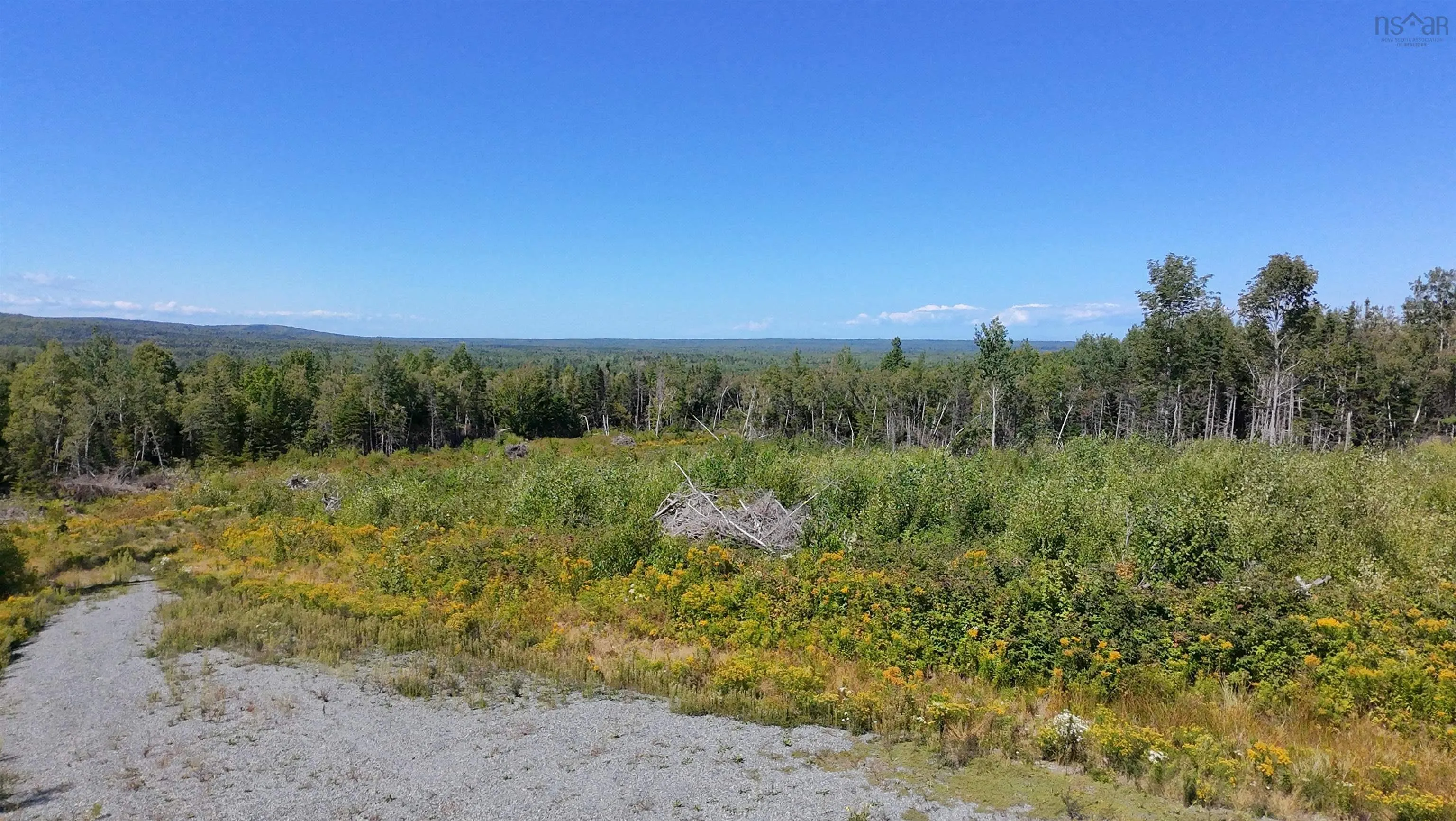 0 Lot Dalhousie Road, Loganville, NS B0K 1R0, ,Land,For Sale,Lot Dalhousie,202521382