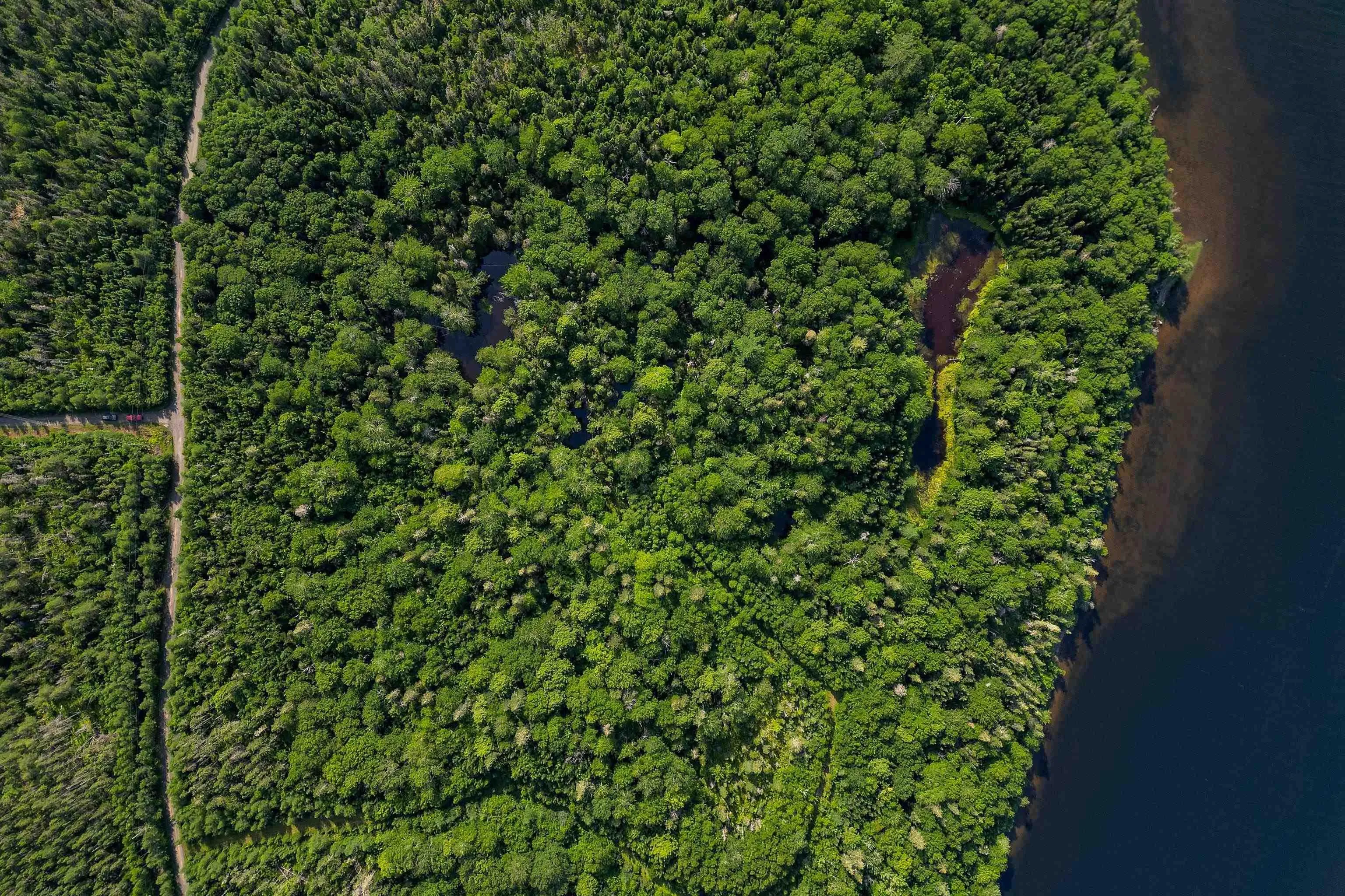 Torus Drive Lot 13, Mcnabs Cove, NS B0E 3B0, ,Land,For Sale,Torus,202522257