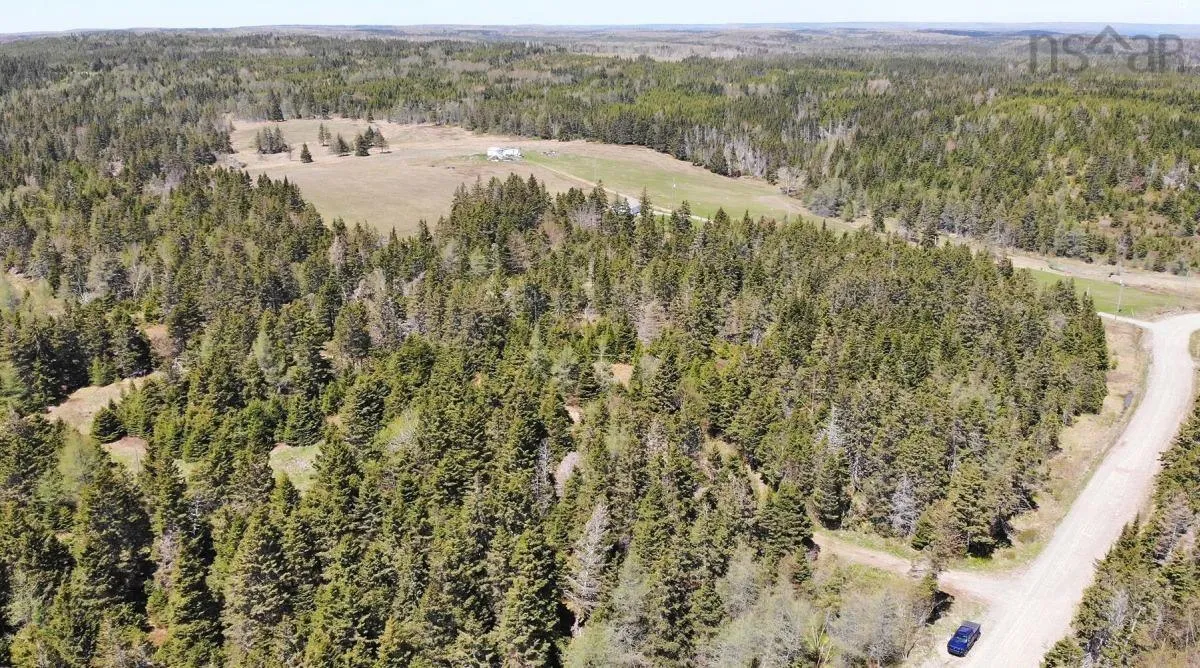 28 Acres Upper Grand Mira Road, Upper Grand Mira, NS B1K 1M1, ,Land,For Sale,Upper Grand Mira,202513002